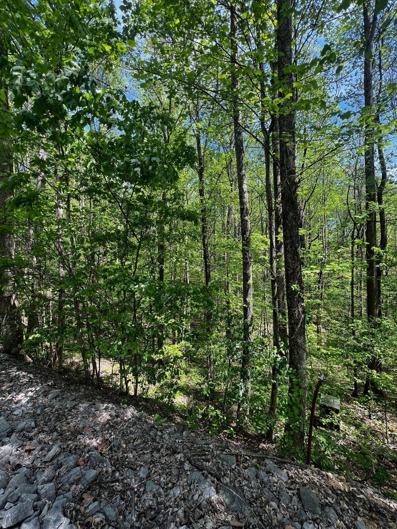 0 Lola Dr, Smithville, TN 37166