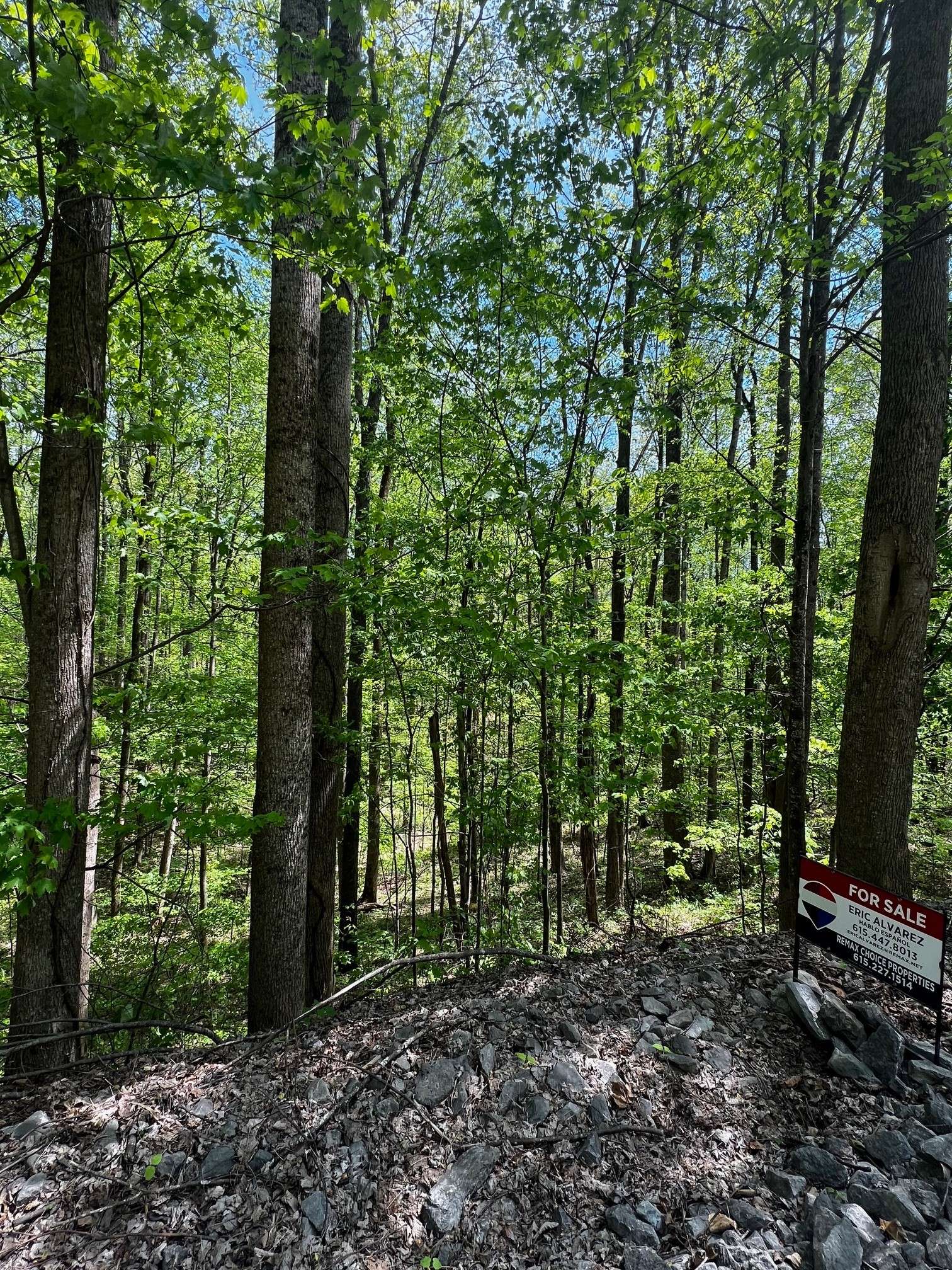 0 Lola Dr, Smithville, TN 37166