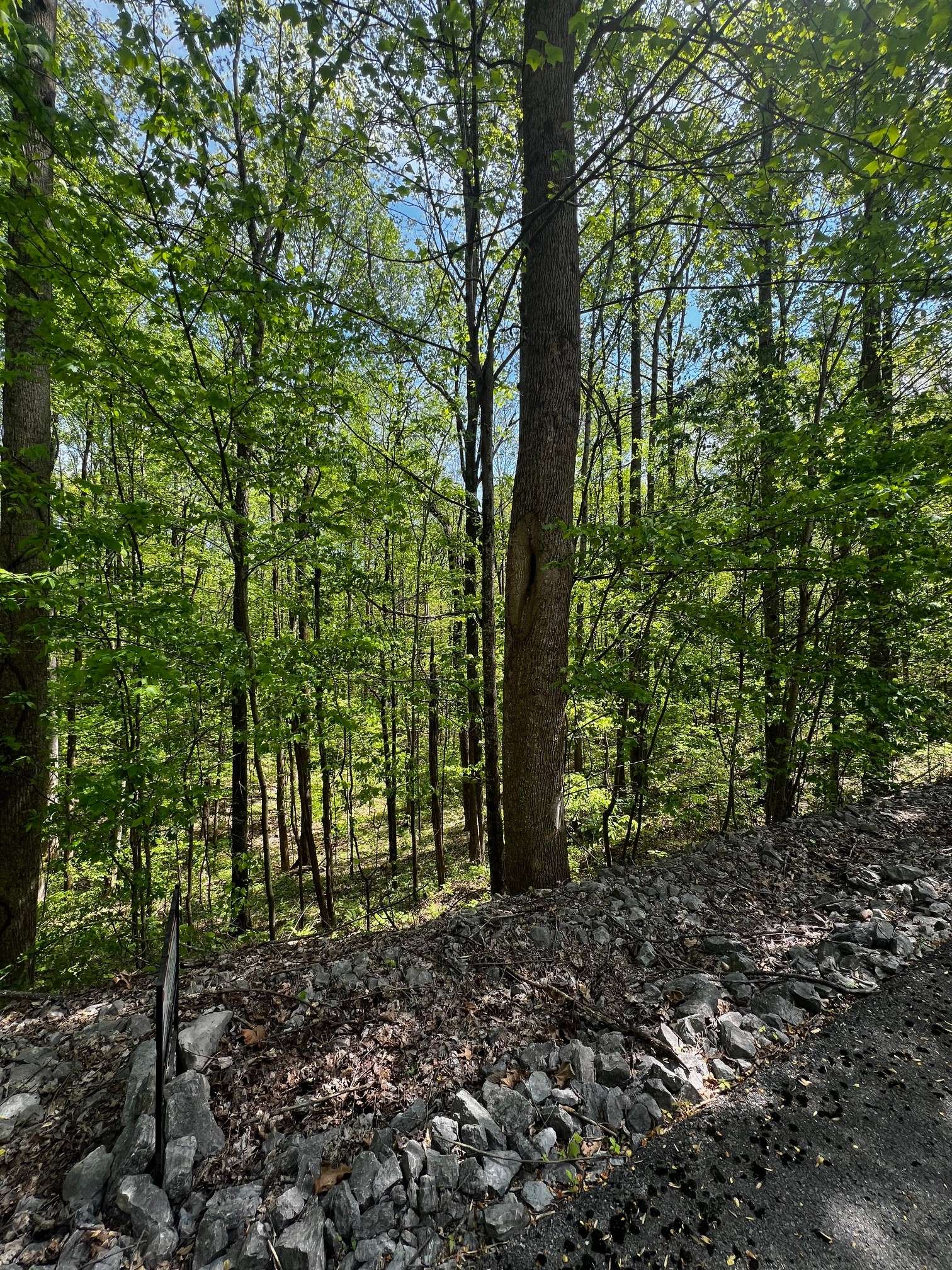 0 Lola Dr, Smithville, TN 37166