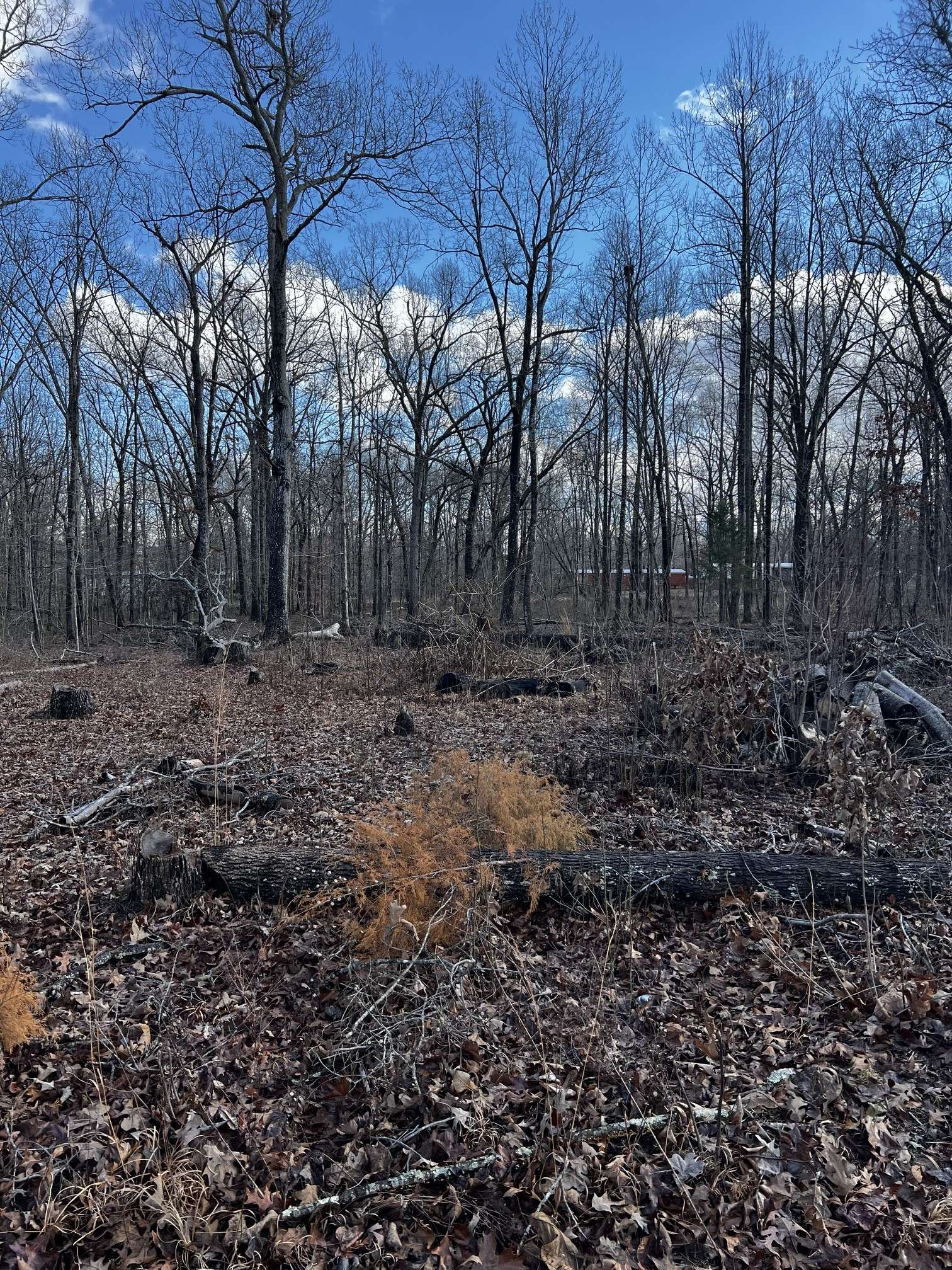 0 Oak Dr, Beechgrove, TN 37018