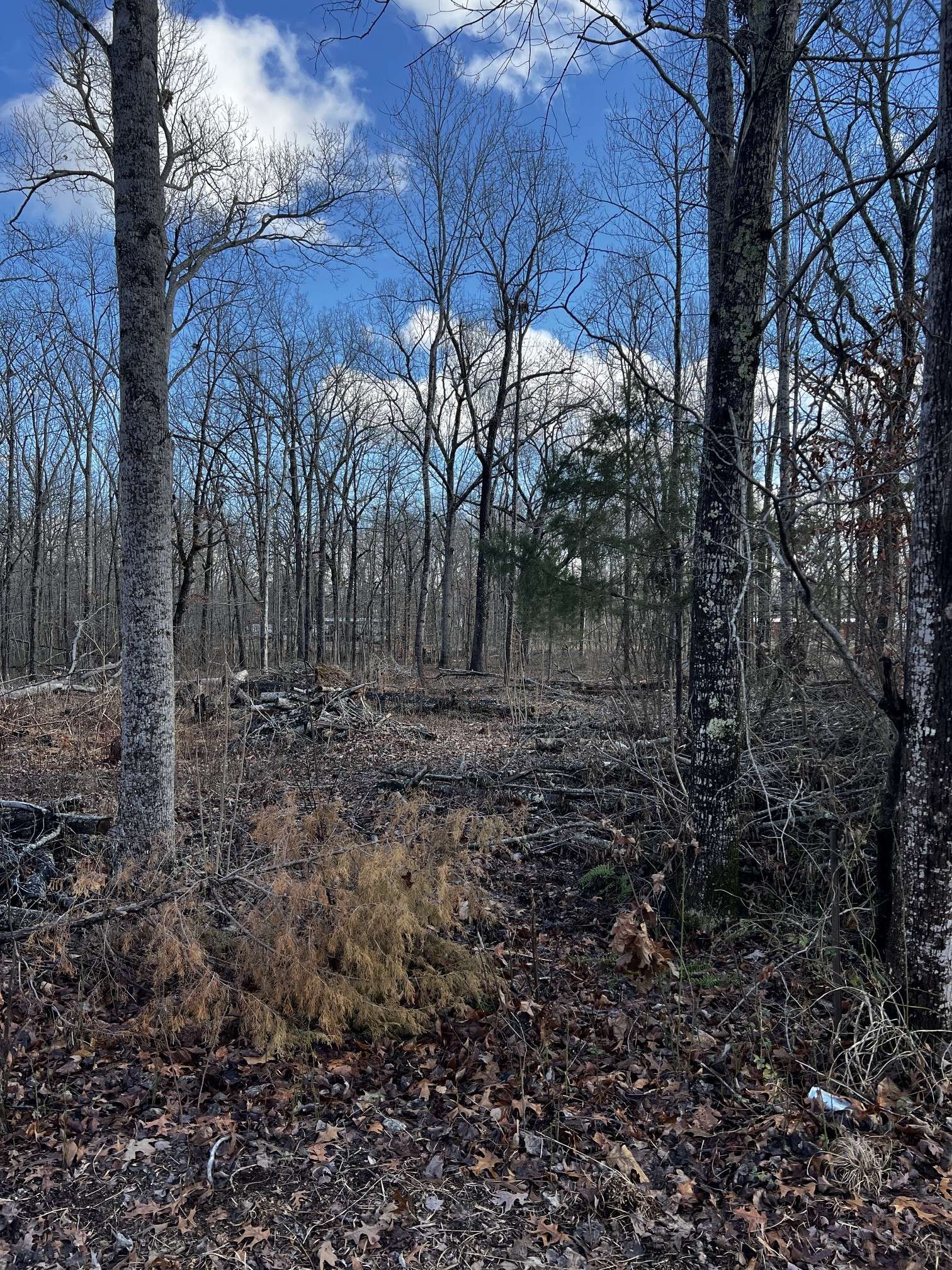0 Oak Dr, Beechgrove, TN 37018