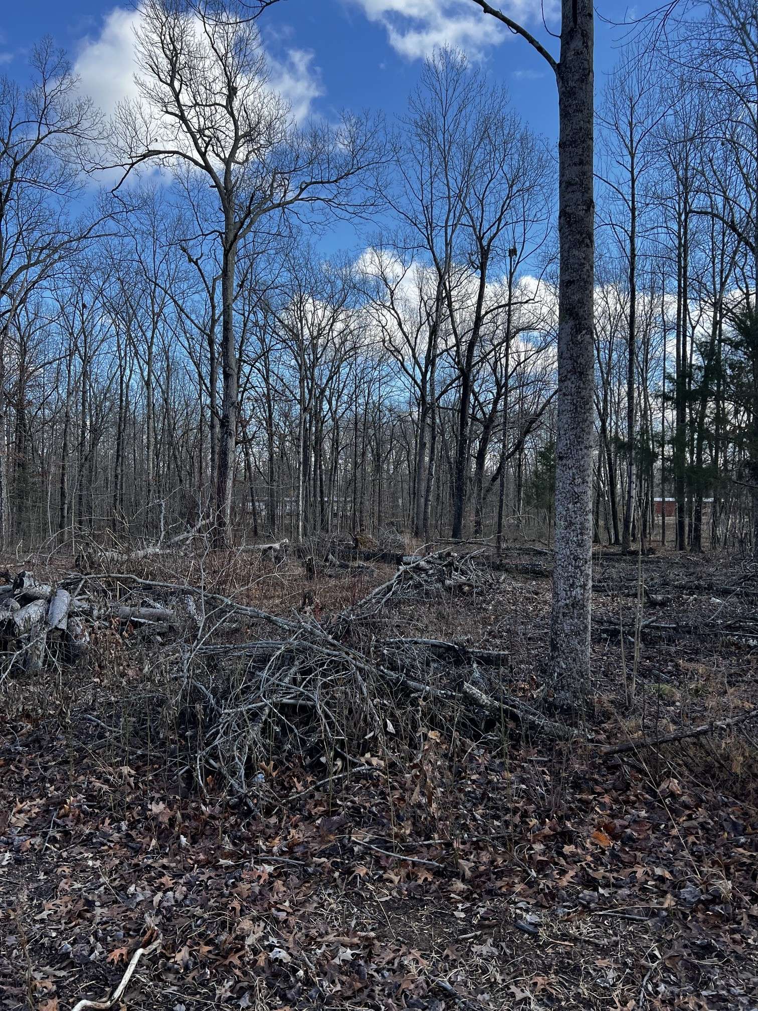 0 Oak Dr, Beechgrove, TN 37018