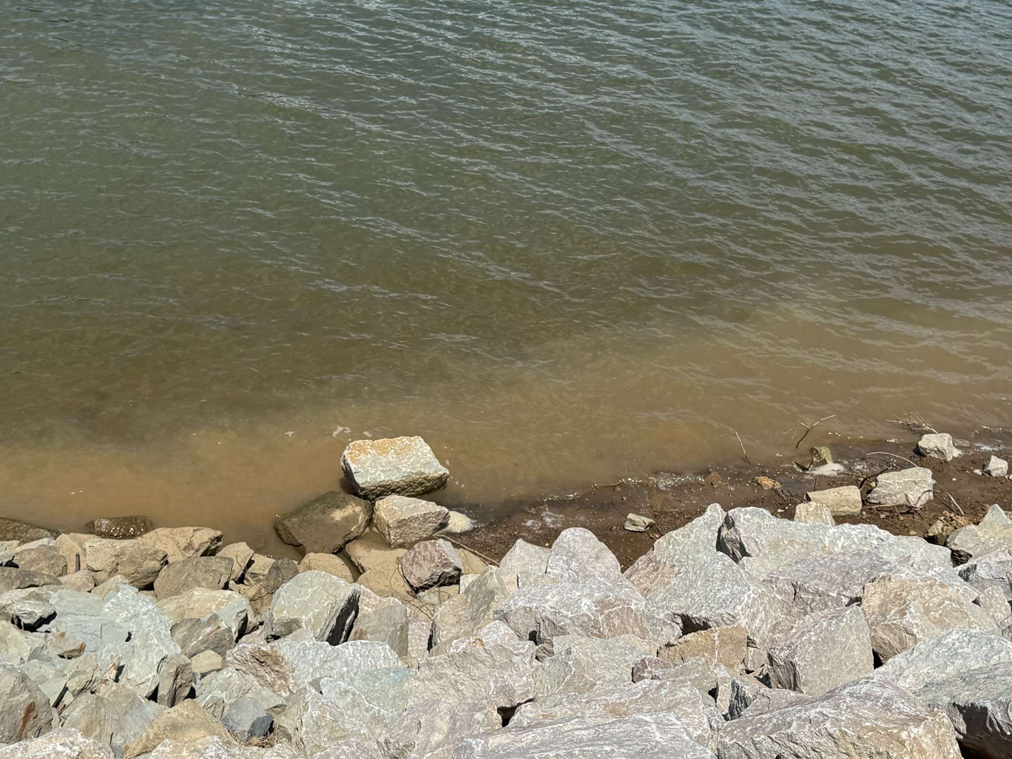 705 River Front Drive, Clifton, TN 38425
