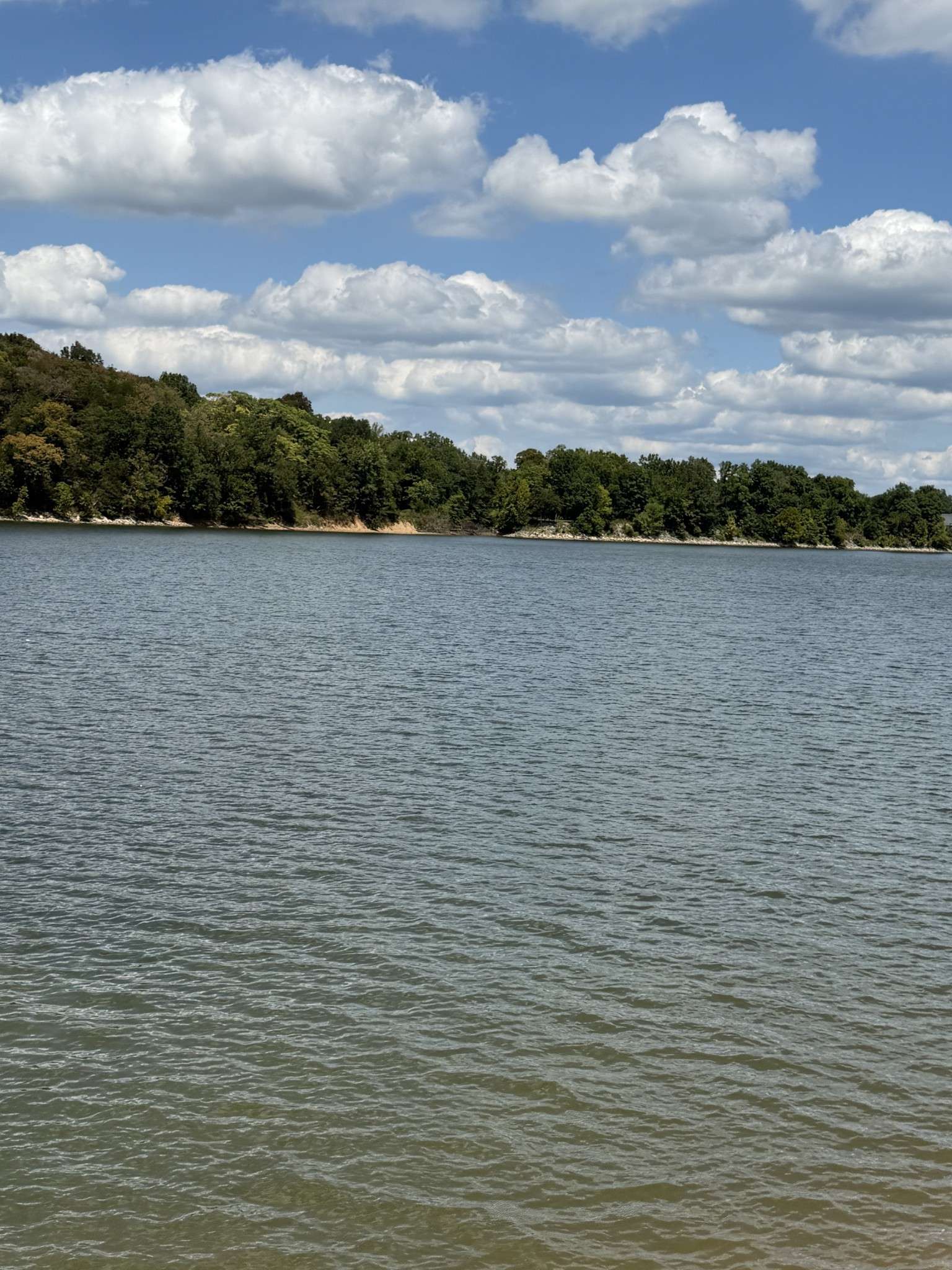 705 River Front Drive, Clifton, TN 38425
