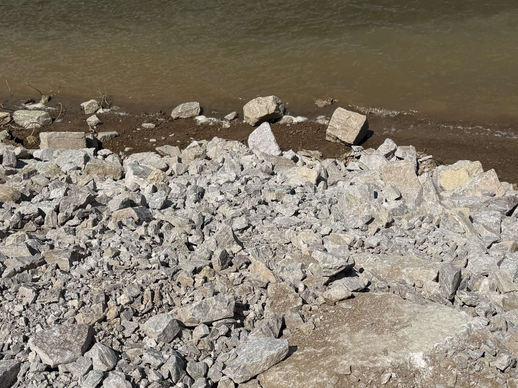 705 River Front Drive, Clifton, TN 38425