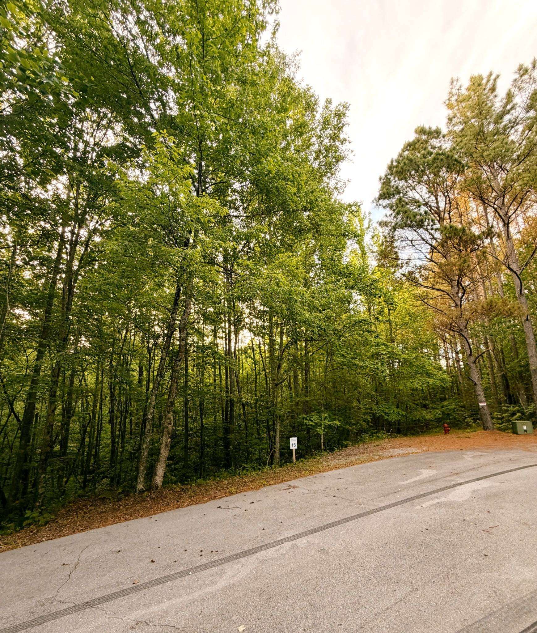 0 Allen Bend Rd, Smithville, TN 37166