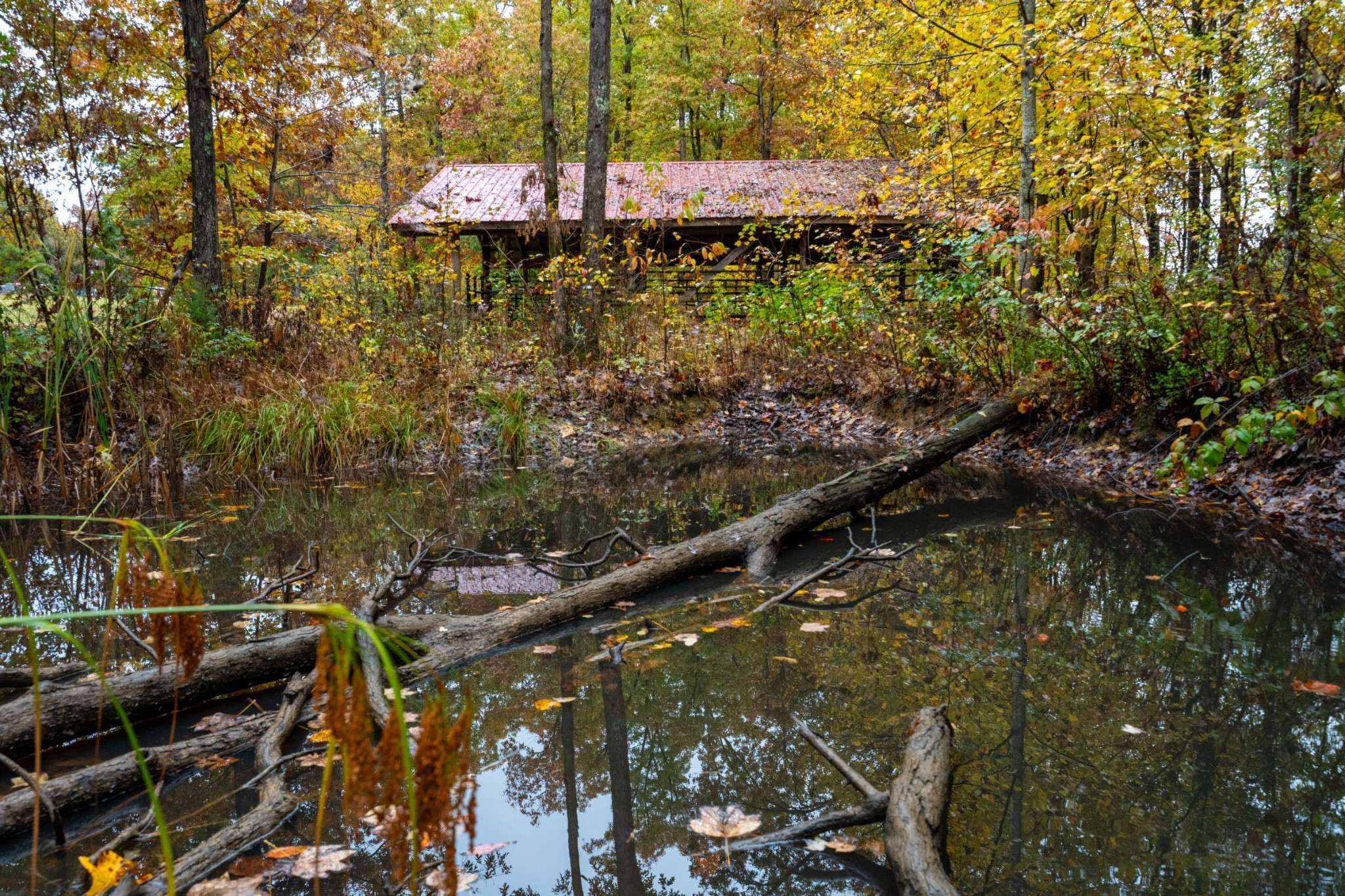 0 Roanoke Rd, Jamestown, TN 38556