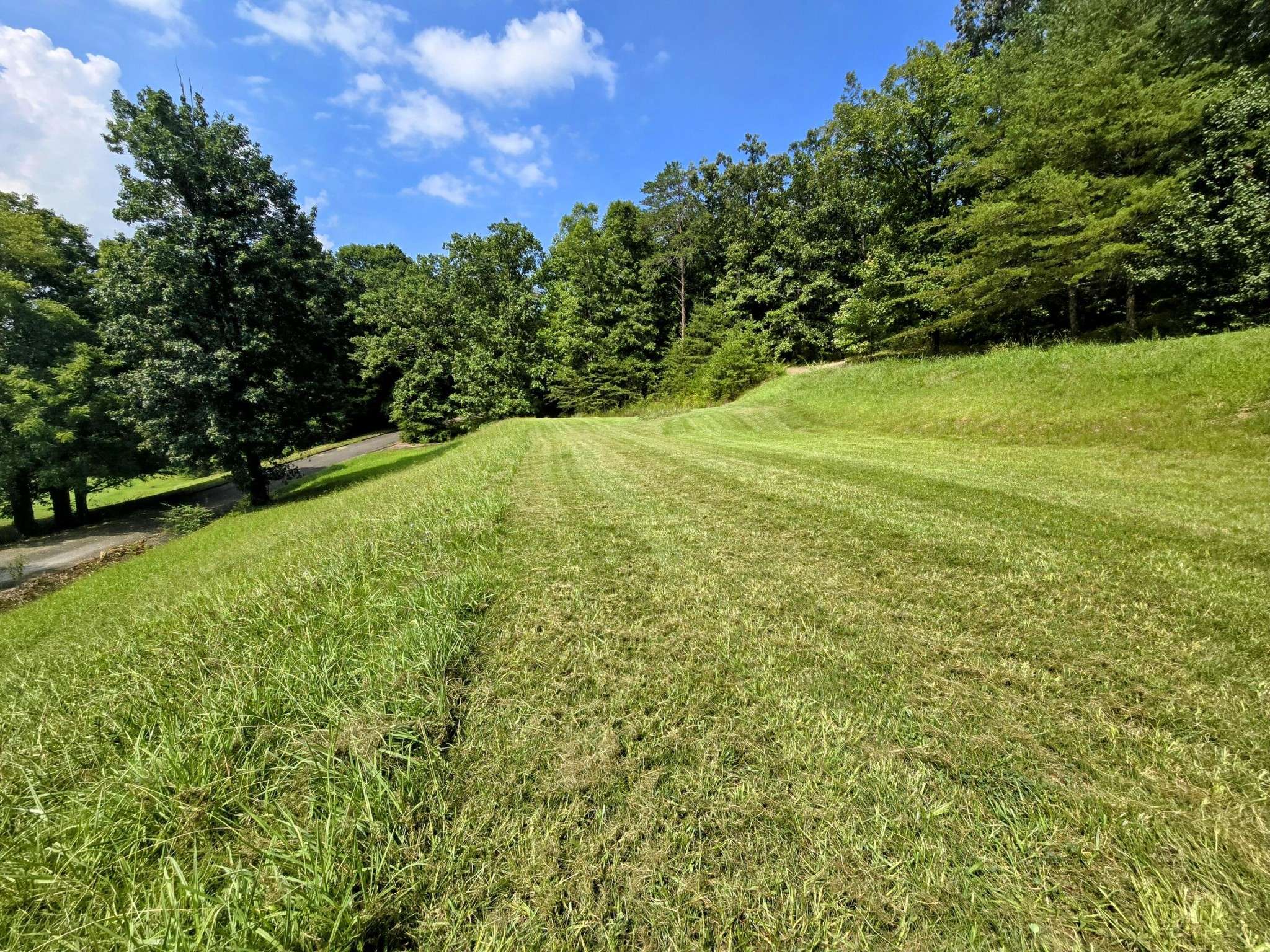 2042 Willow Springs Drive, Athens, TN 37303