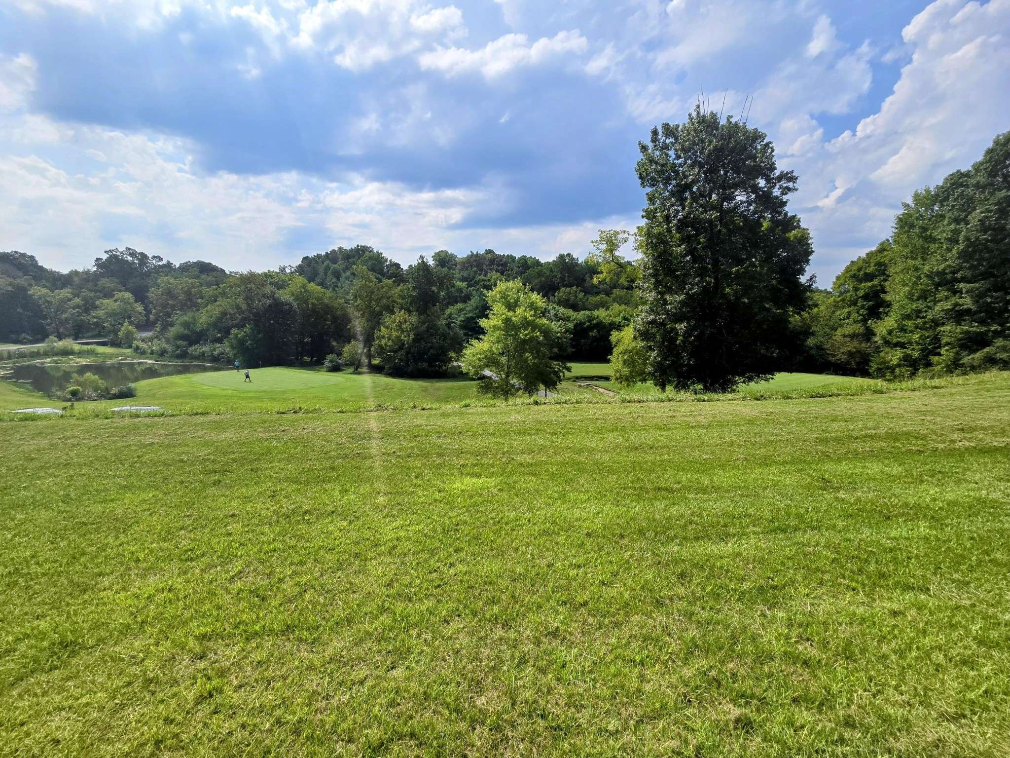 2042 Willow Springs Drive, Athens, TN 37303
