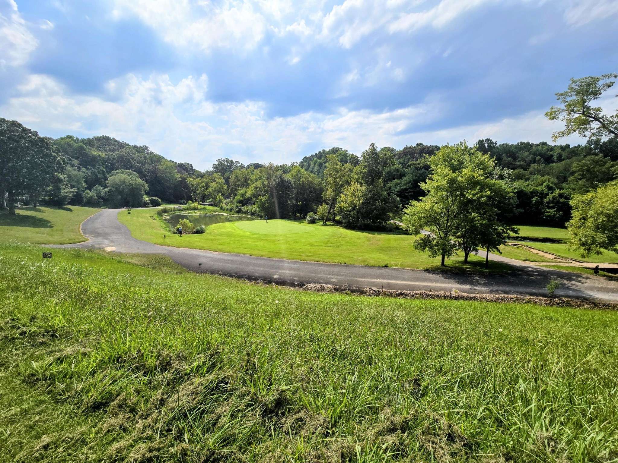 2042 Willow Springs Drive, Athens, TN 37303