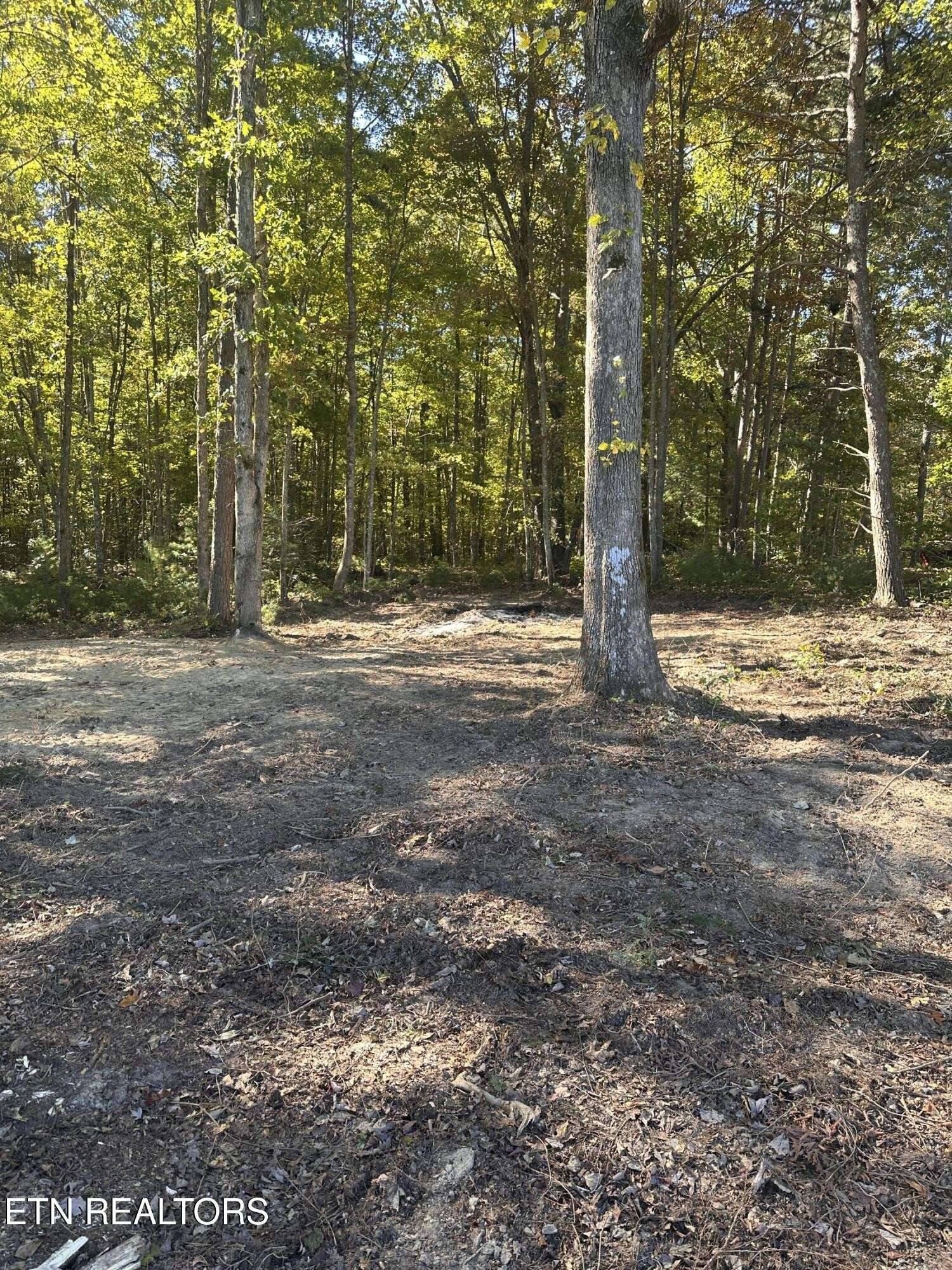 186 Cave Branch Rd, Allardt, TN 38504