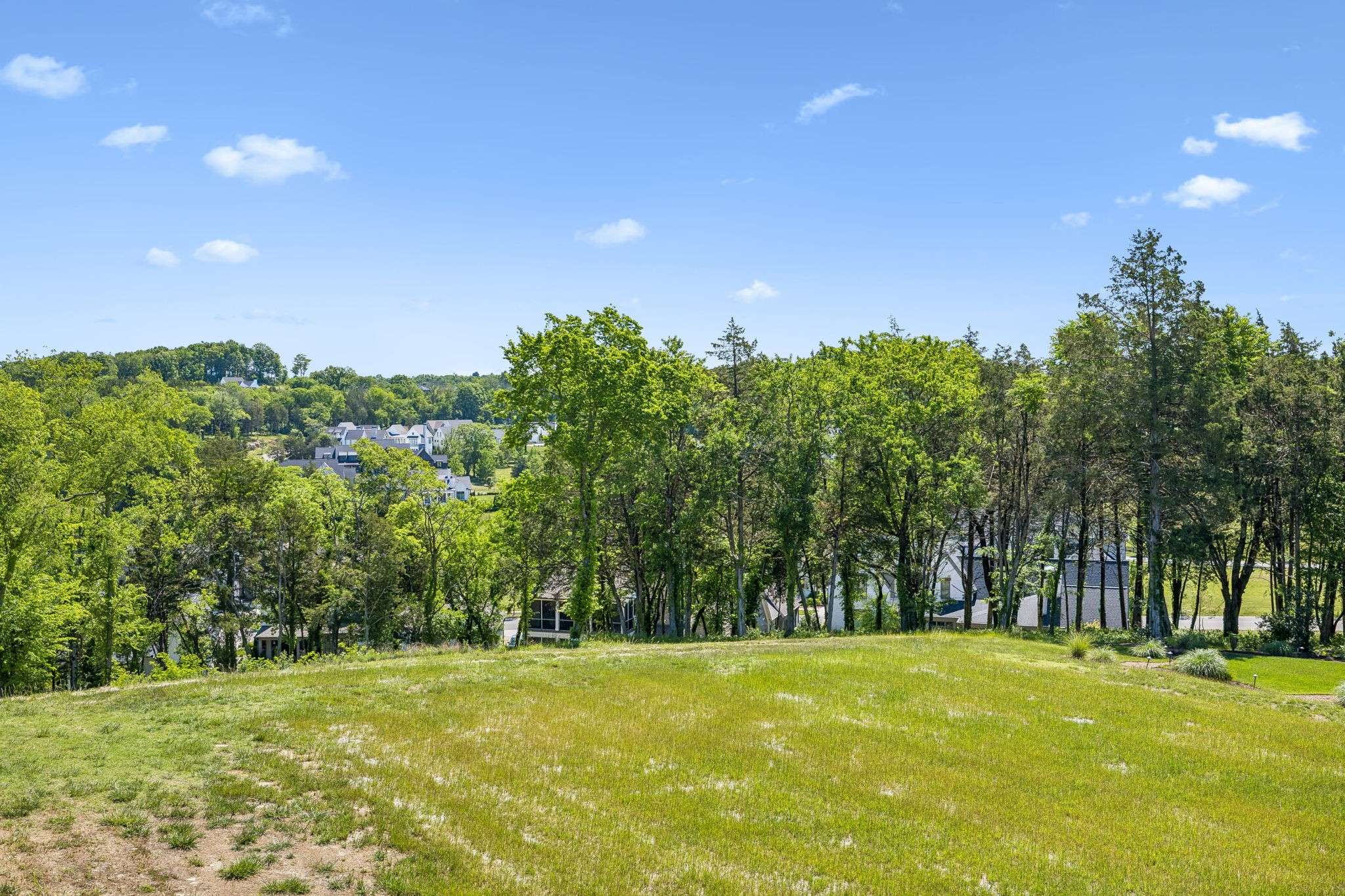 9120 Sawtooth Ln, College Grove, TN 37046