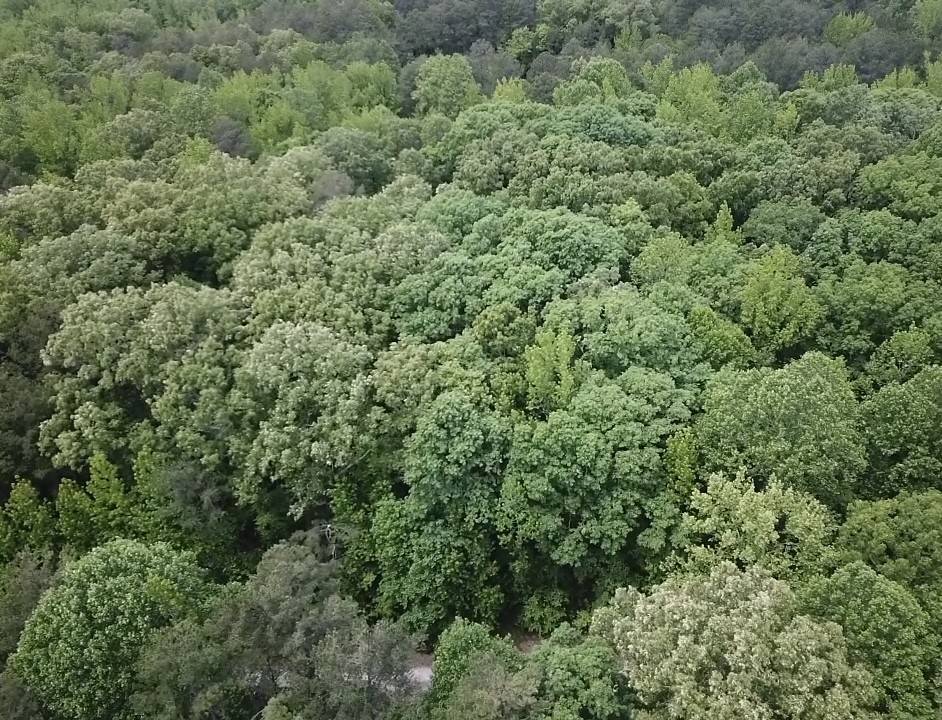 730 Wayne Smith Rd, Saulsbury, TN 38067
