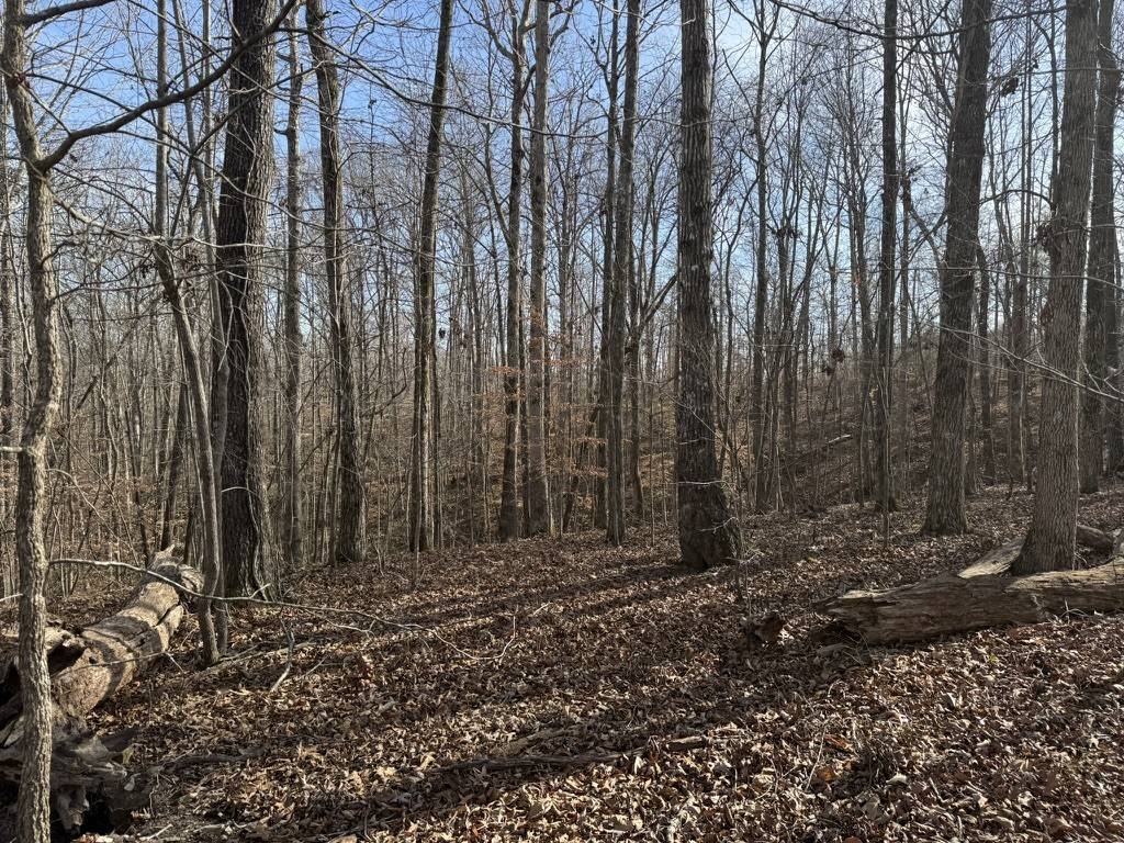 0 Riverwatch Trace, Sparta, TN 38583