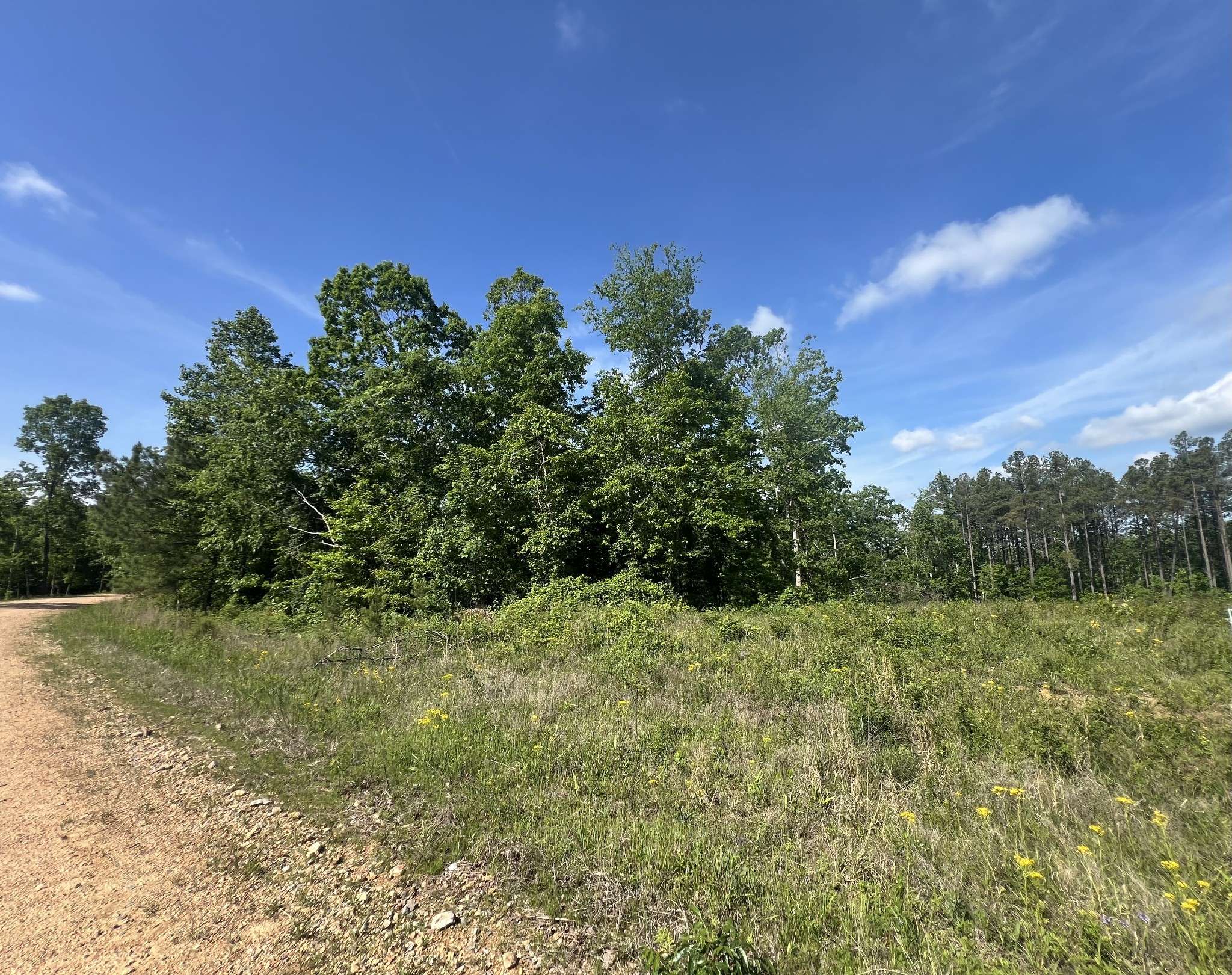 28 Pafford Lane, Erin, TN 37061