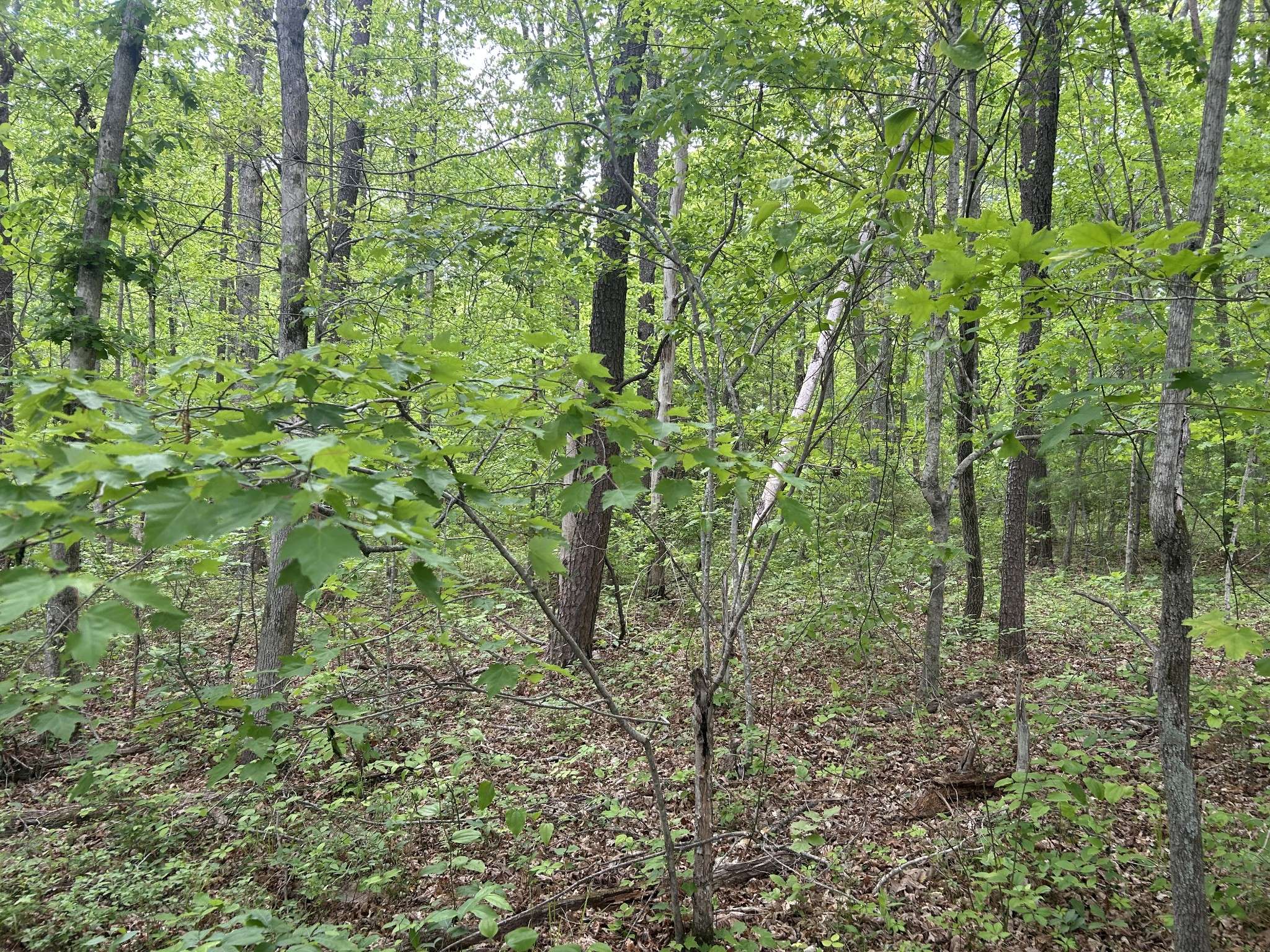 0 RT Davis Rd, Spencer, TN 38585