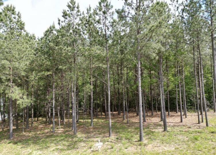 5140 Crockett, Jasper, TN 37347