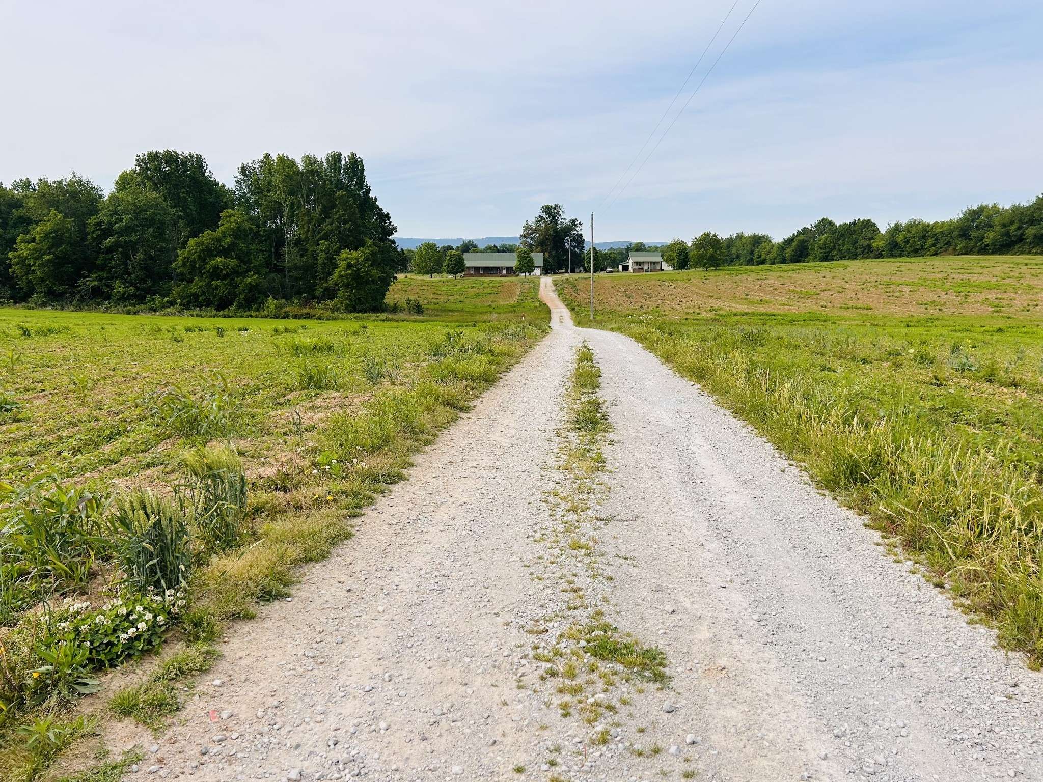 235 Breezy Knoll Ln, Morrison, TN 37357