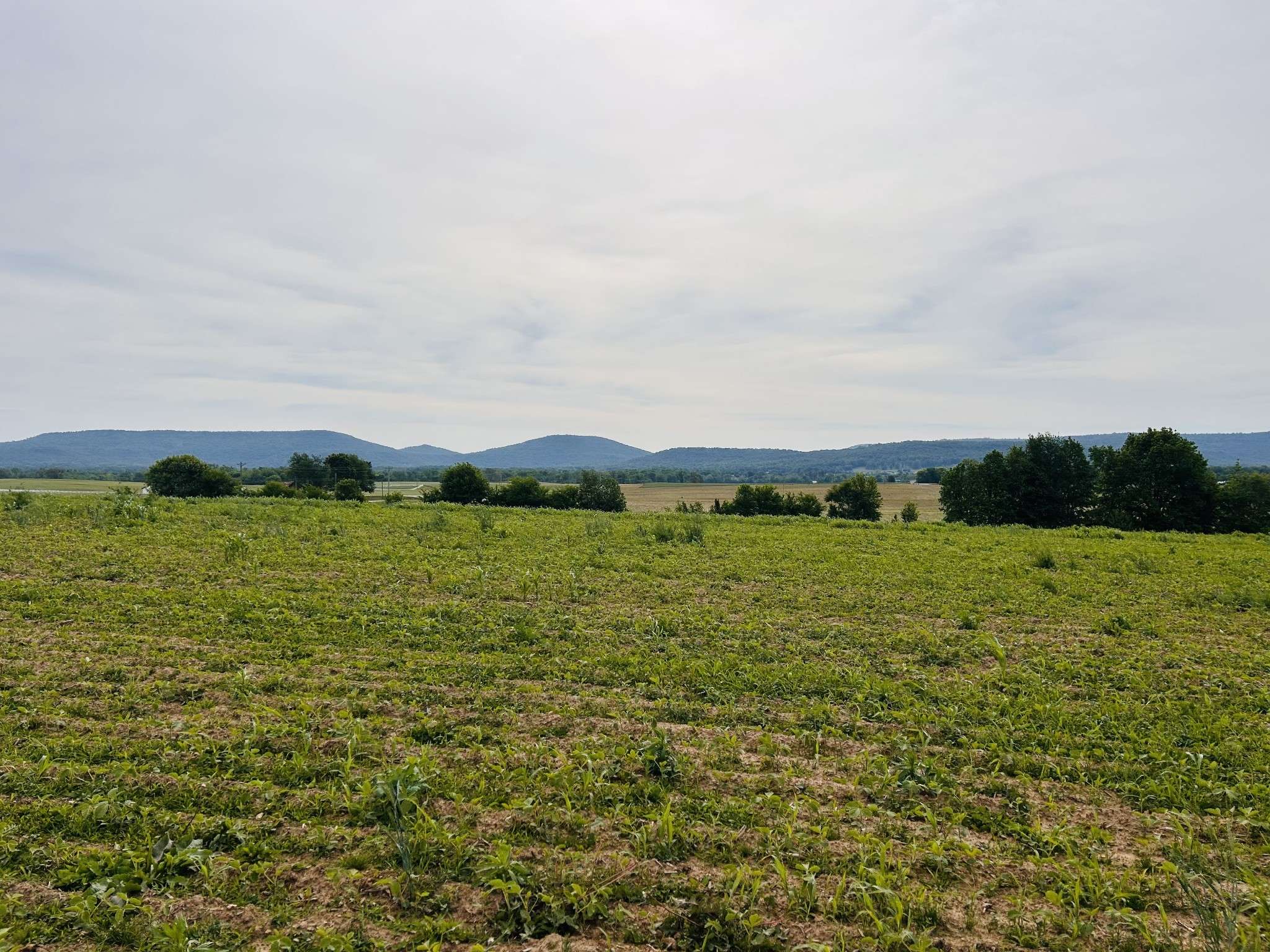 235 Breezy Knoll Ln, Morrison, TN 37357