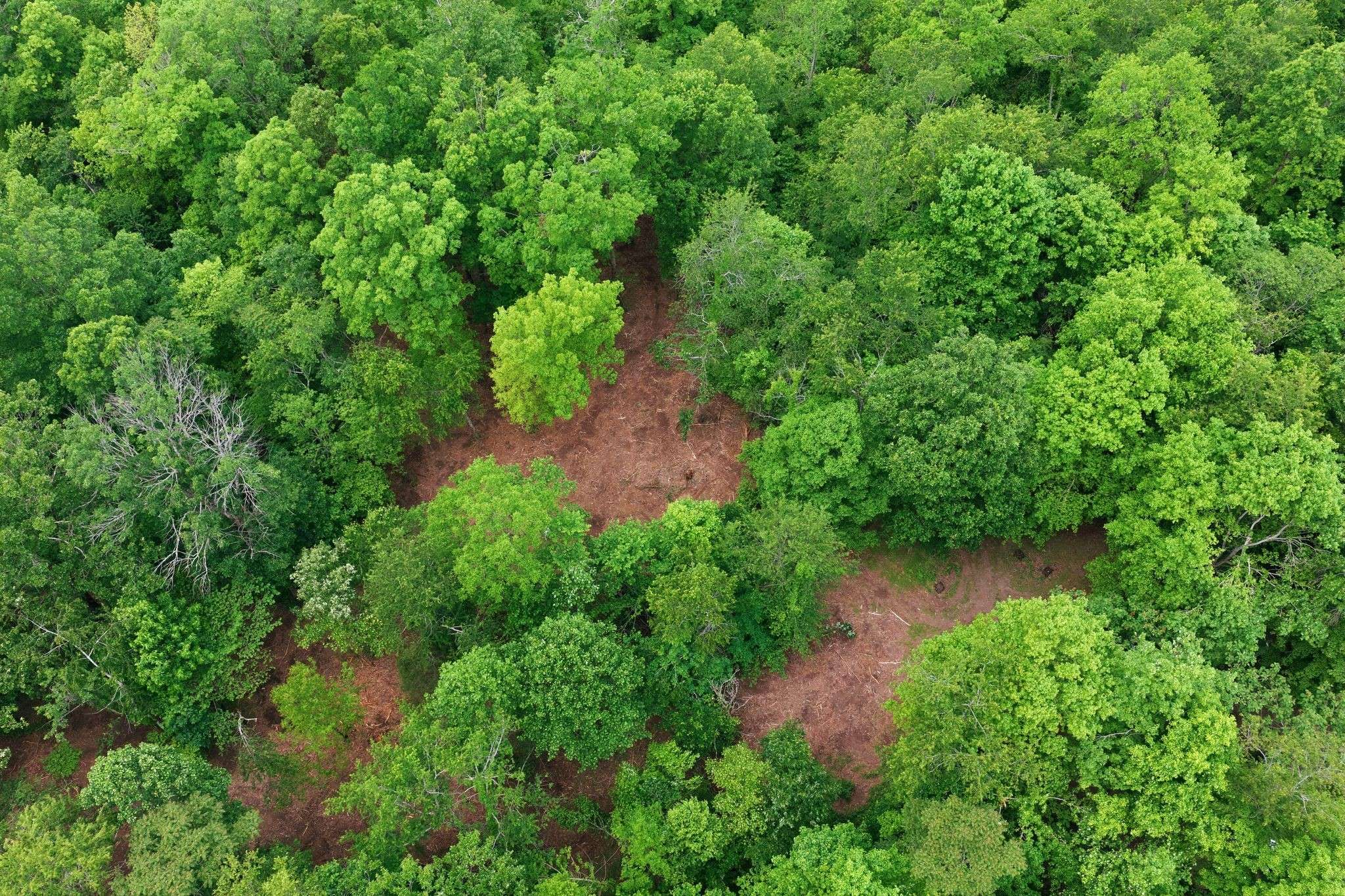 0 Willow Springs Road, Lyles, TN 37098