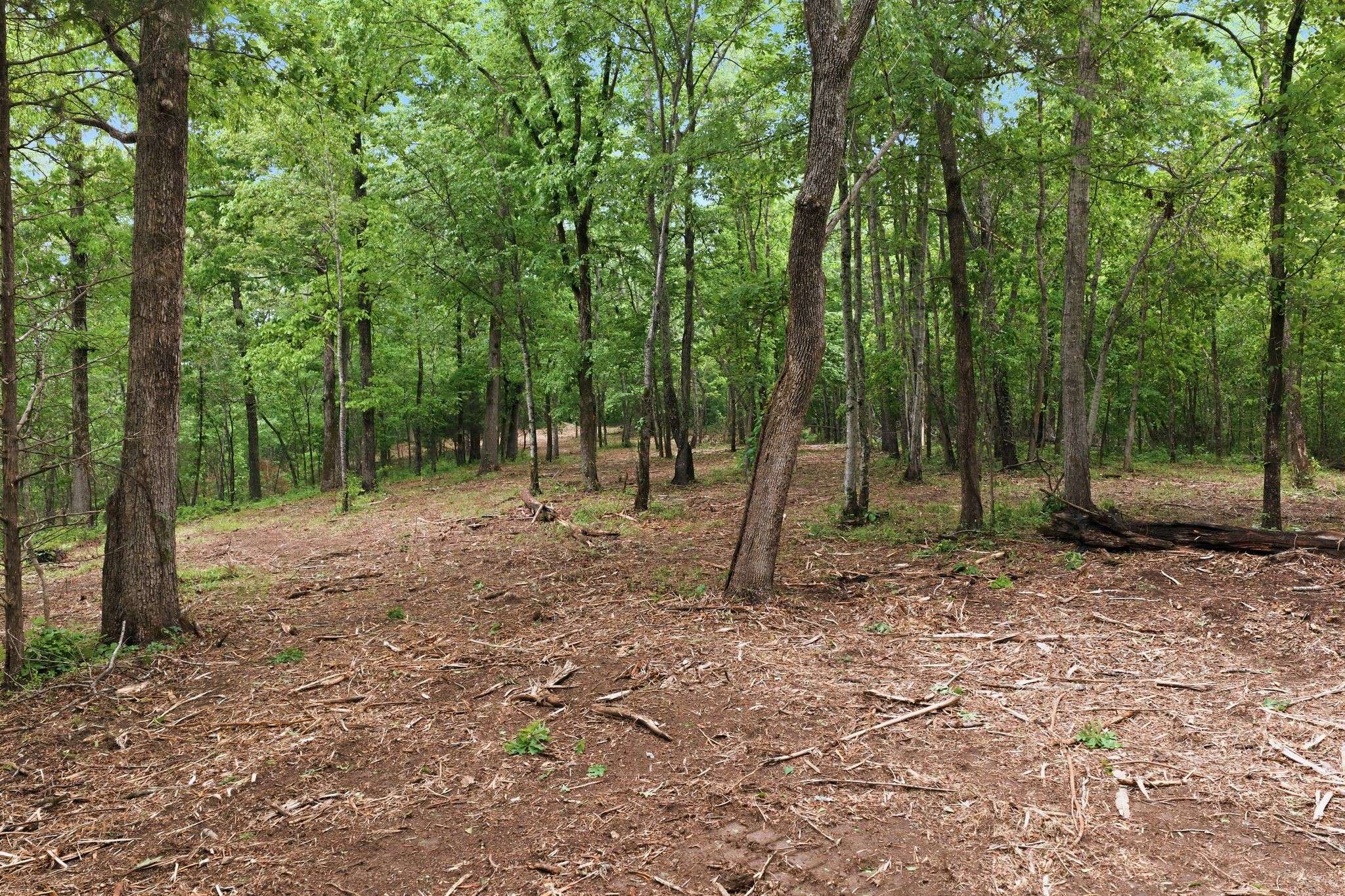0 Willow Springs Road, Lyles, TN 37098