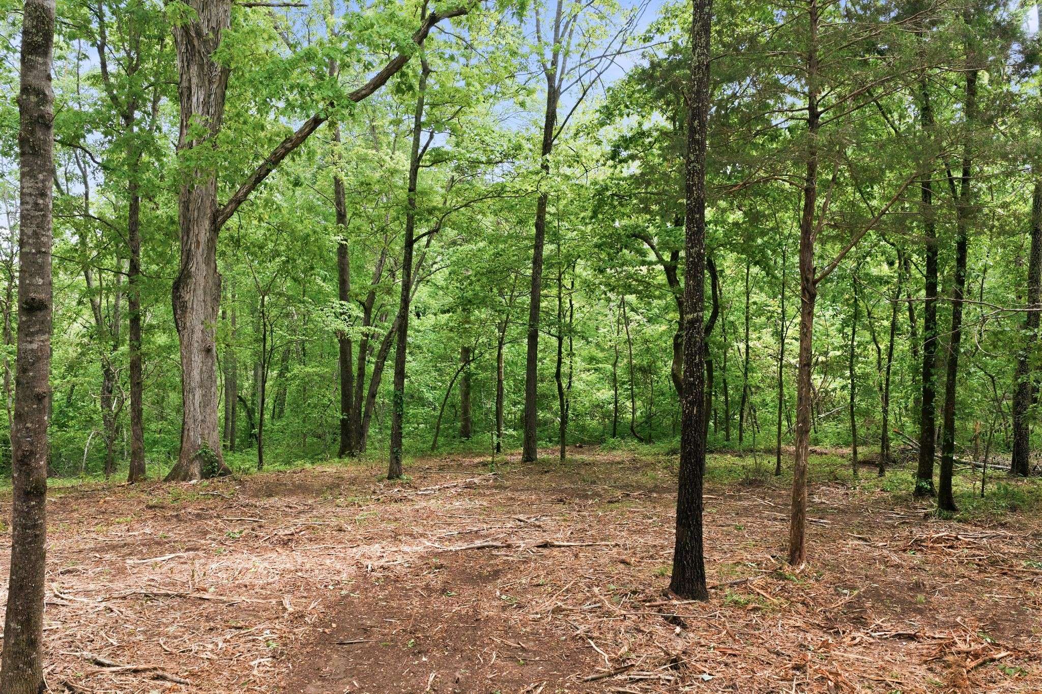 0 Willow Springs Road, Lyles, TN 37098