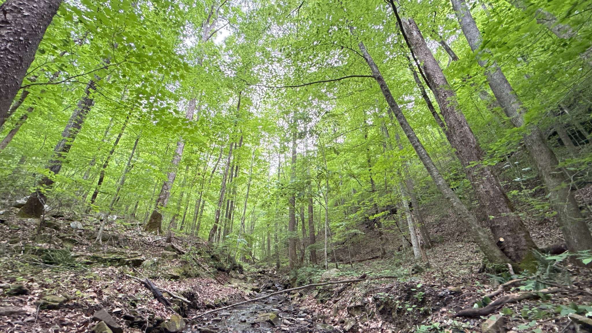 0 Murphy Hollow Rd, Trenton, GA 30752