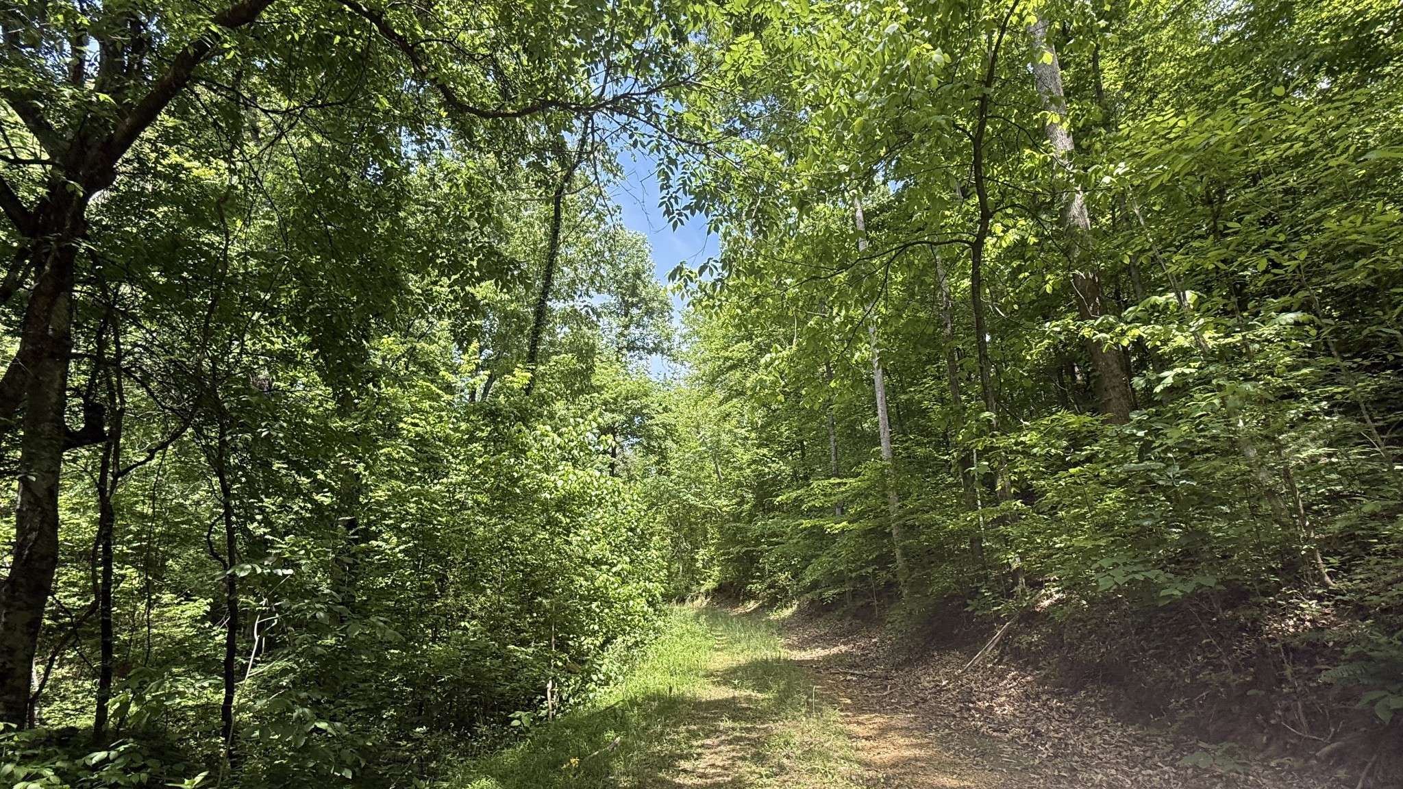 143 Buford Hughey Rd, Dellrose, TN 38453
