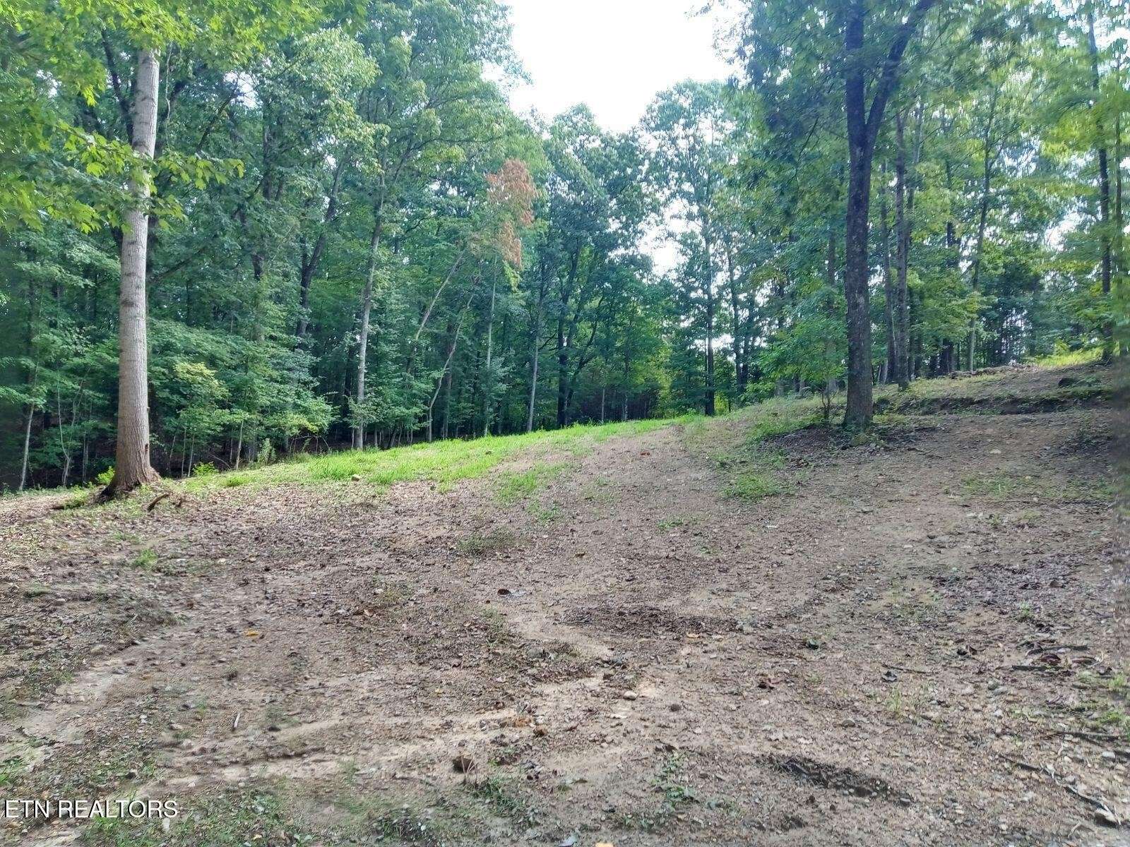 7171 Vonore Rd, Loudon, TN 37774