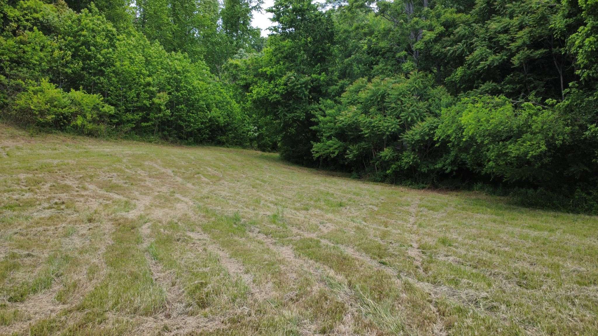 0 Love Branch Rd, Hampshire, TN 38461