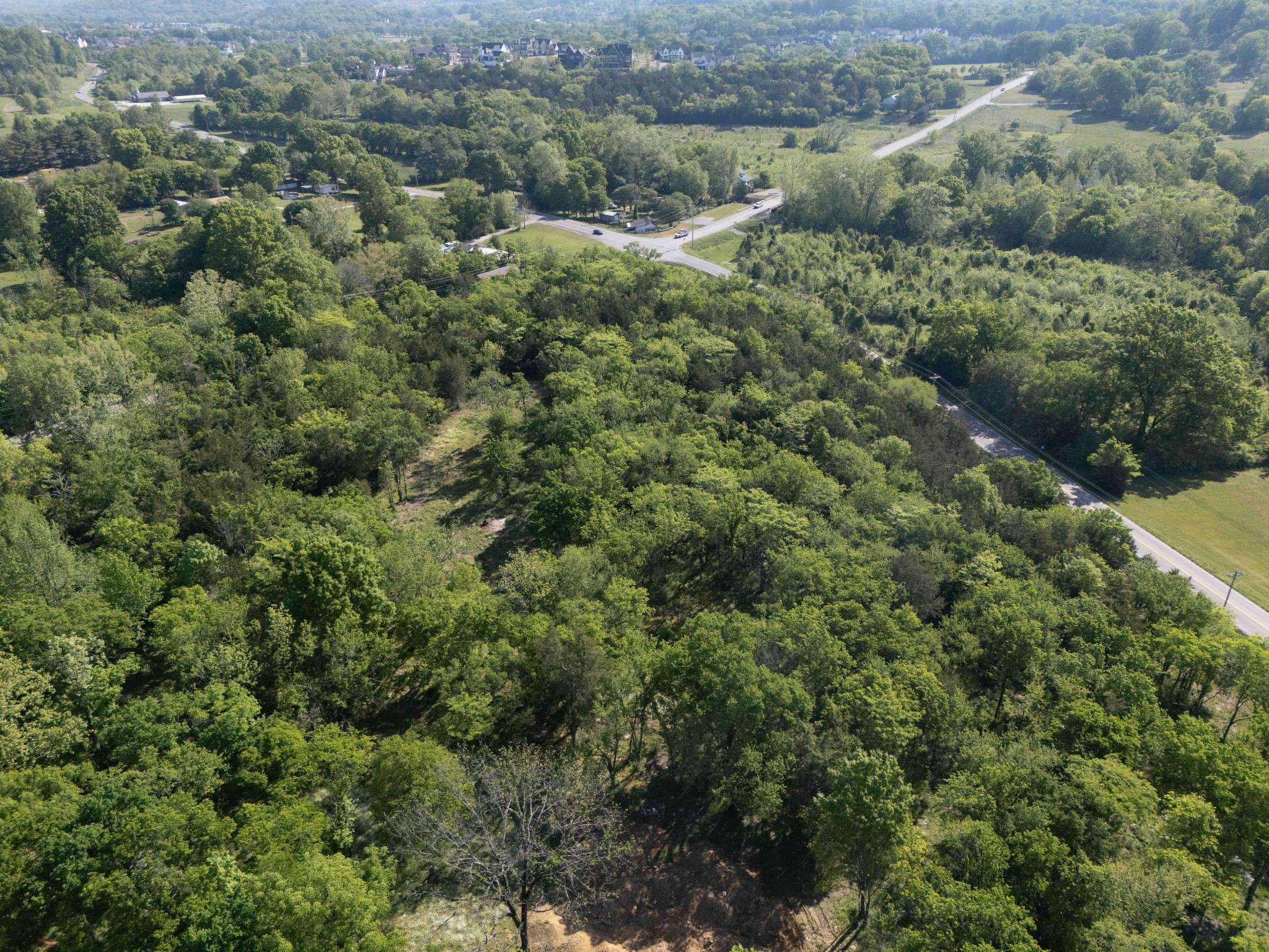 0 Arno Allisona Rd, College Grove, TN 37046