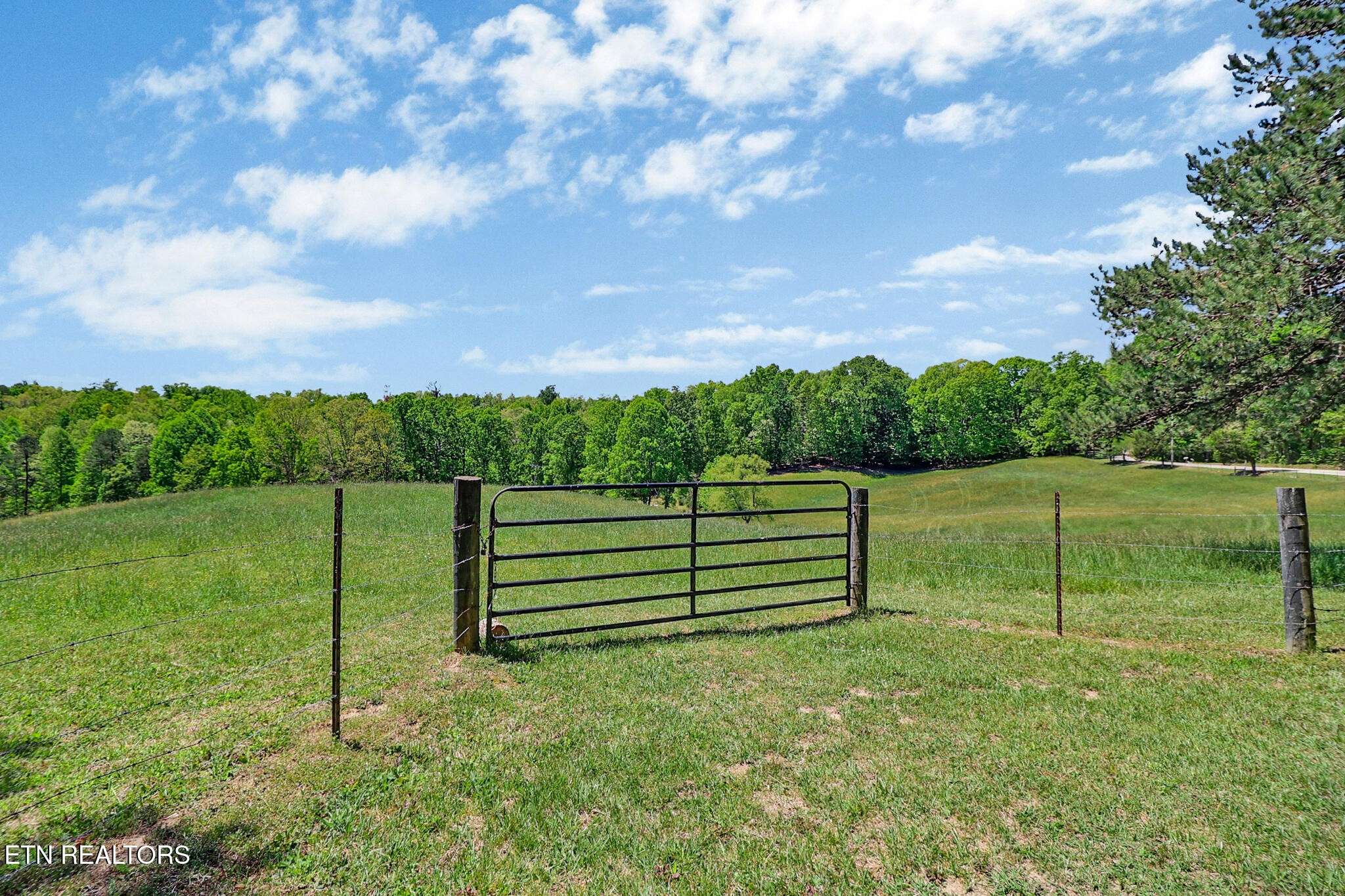 0 Panther Branch Rd, Jamestown, TN 38556