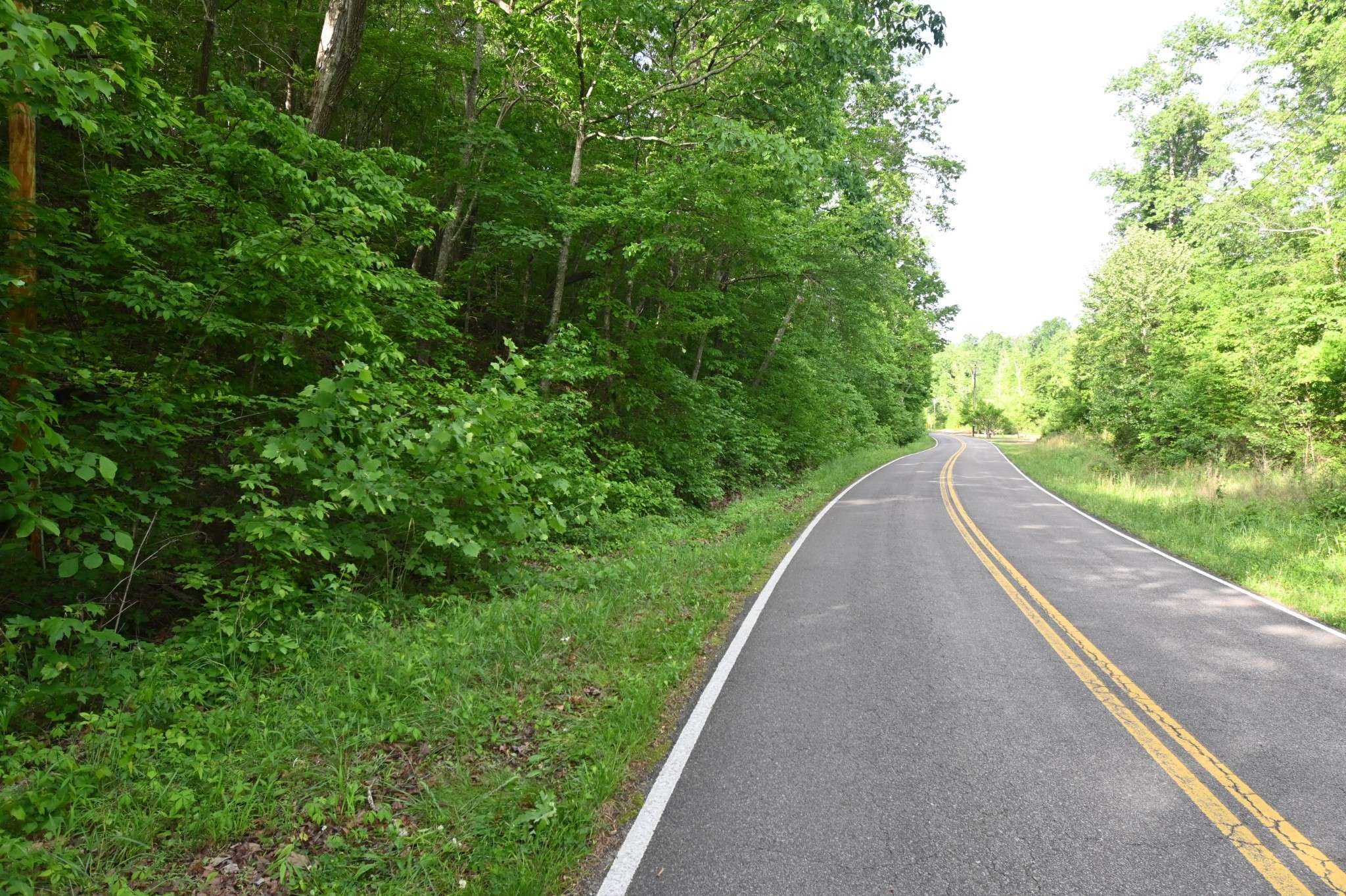 0 Lower Crooked Creek Rd, Lobelville, TN 37097