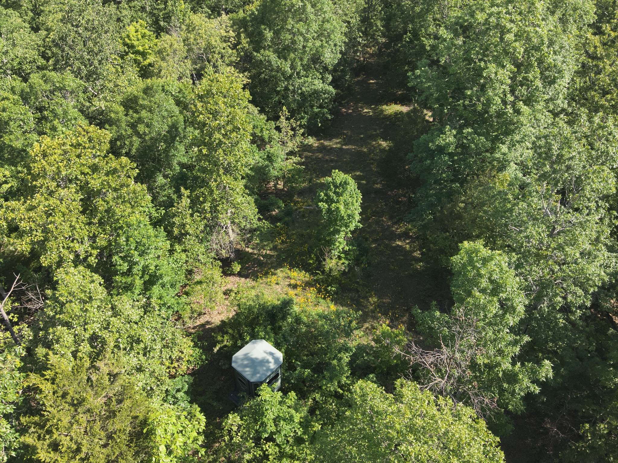 0 Lower Crooked Creek Rd, Lobelville, TN 37097