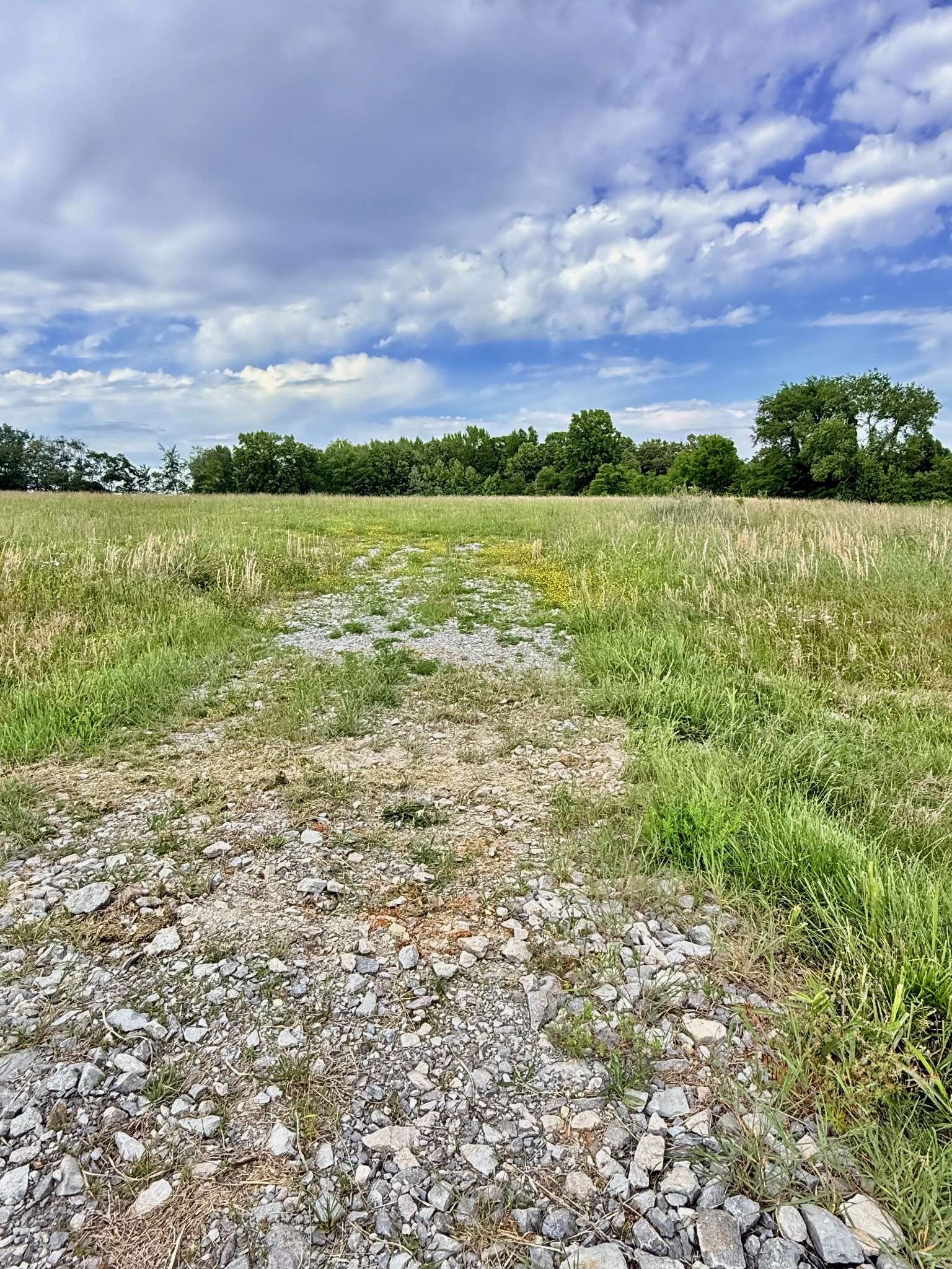 5165 Highway 41 #N, Springfield, TN 37172