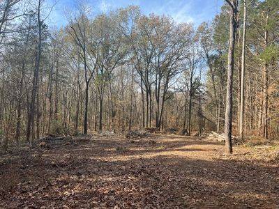 21 BAYVIEW DR, Bumpus Mills, TN 37028