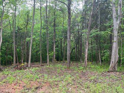21 BAYVIEW DR, Bumpus Mills, TN 37028