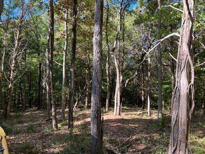 21 BAYVIEW DR, Bumpus Mills, TN 37028