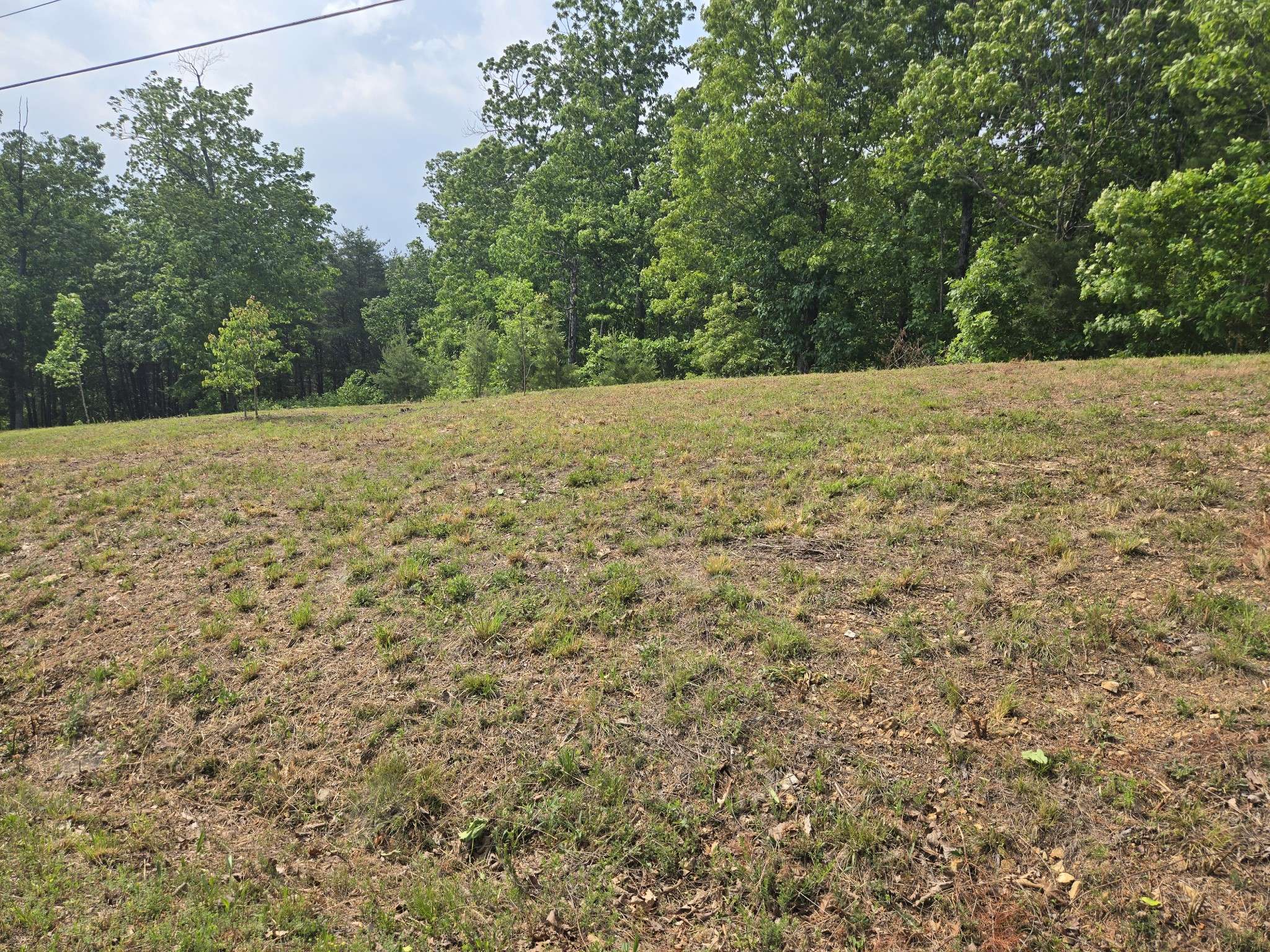 1 Turtle Point, Waverly, TN 37185
