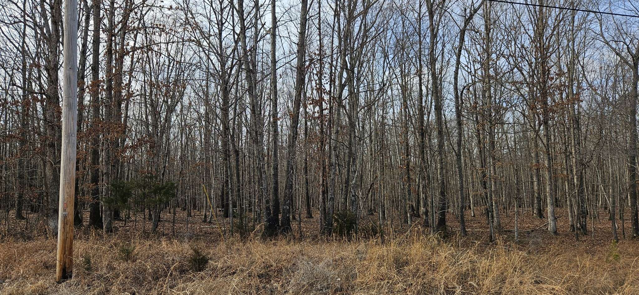 0 Industrial Park Rd, Nunnelly, TN 37137
