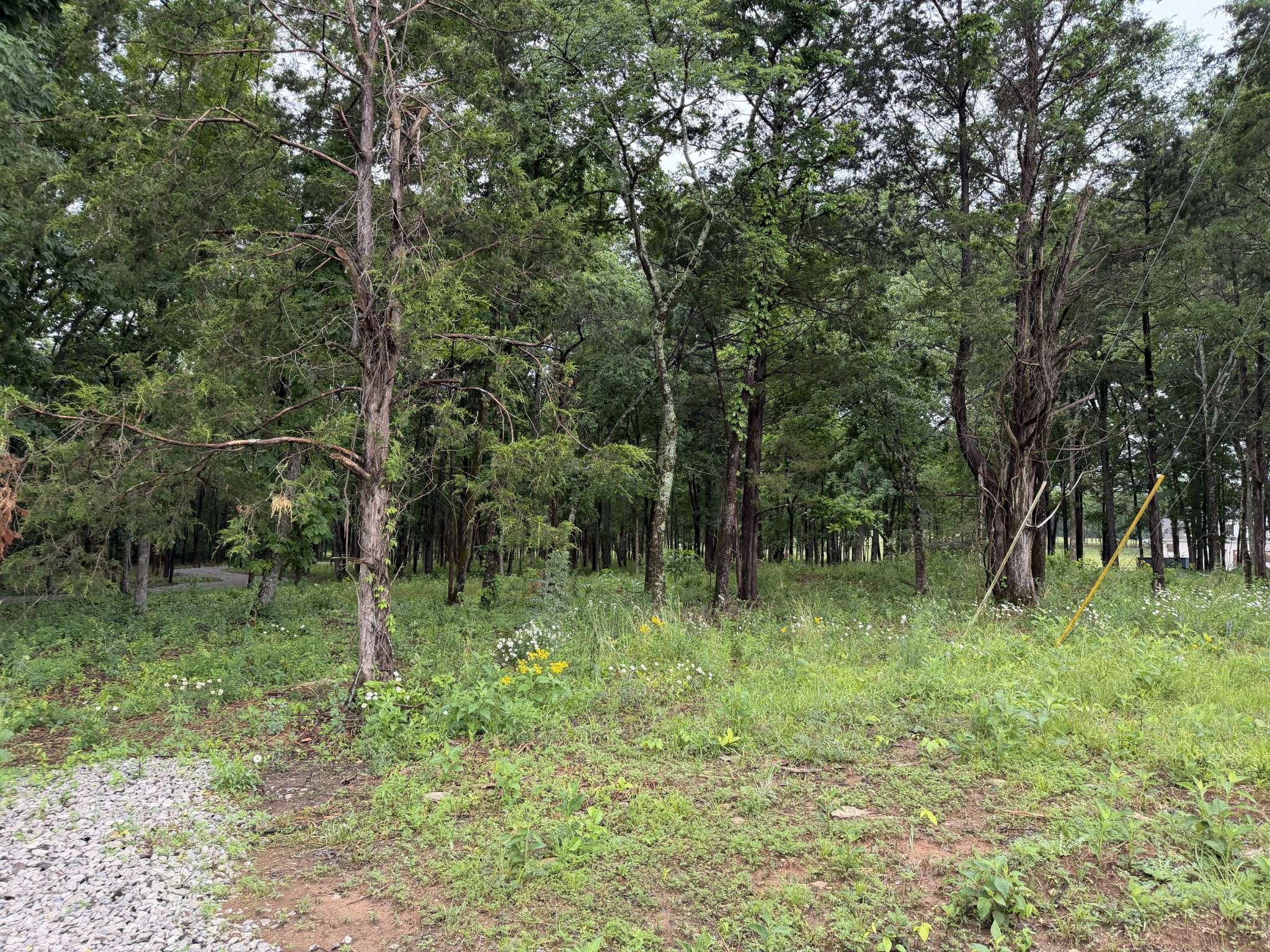 2827 Unionville Rd, Chapel Hill, TN 37034