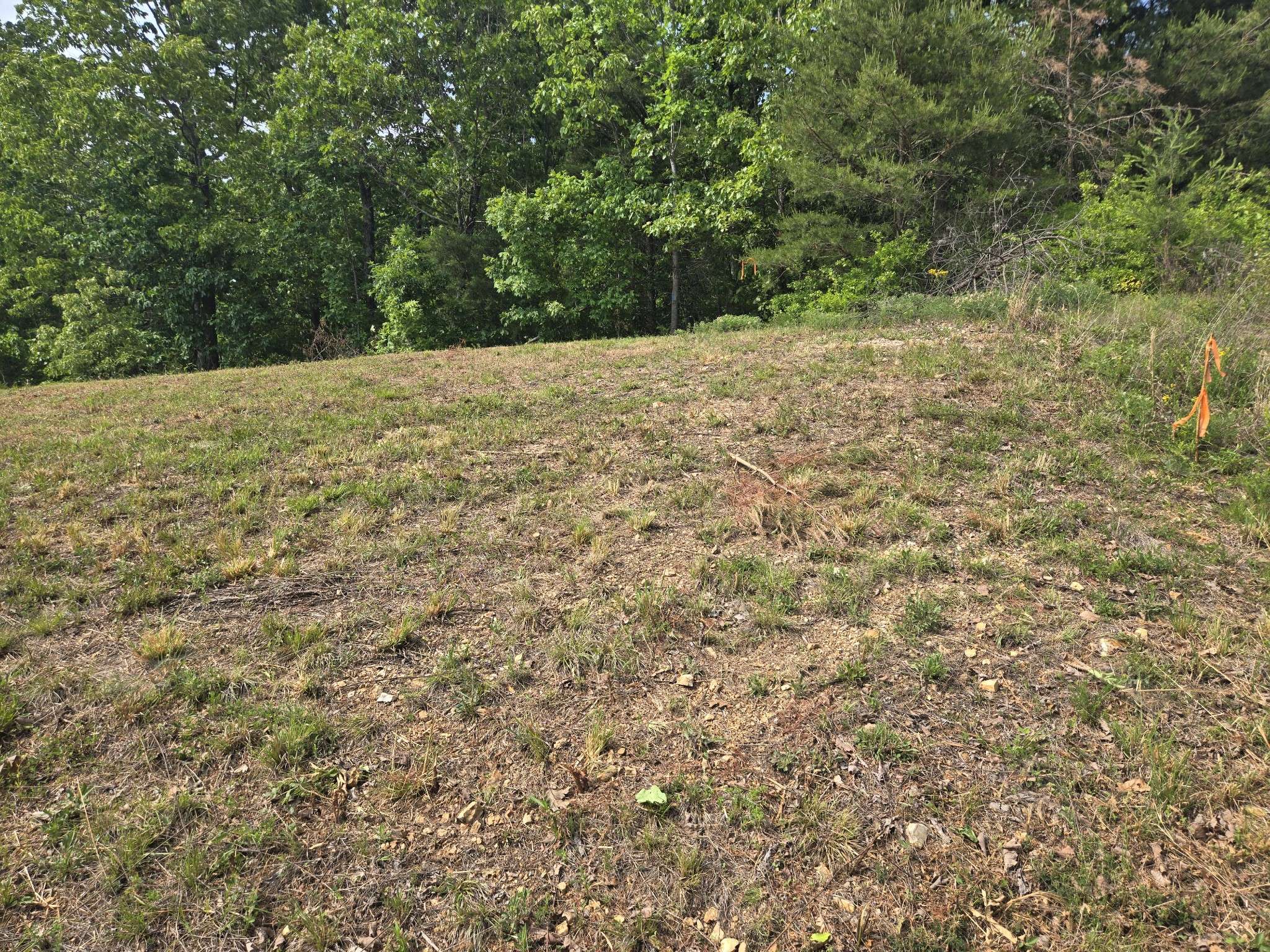 2 Turtle Point, Waverly, TN 37185