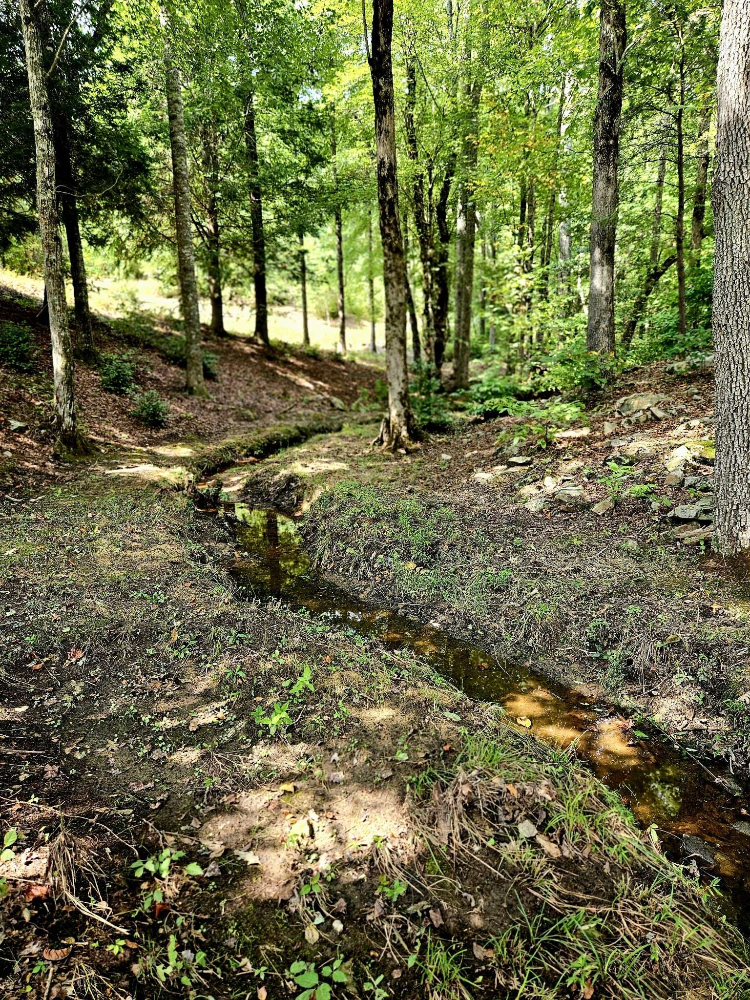 136 Winding Creek Way, Altamont, TN 37301