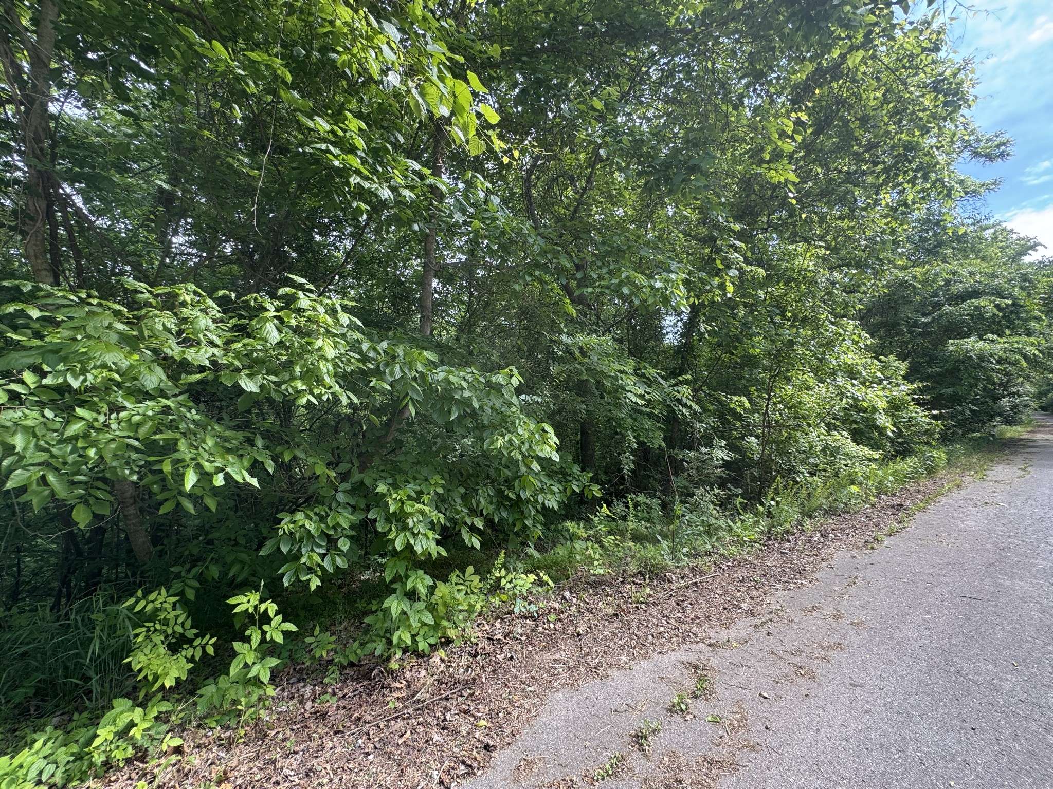 0 Park Dr, Silver Point, TN 38582