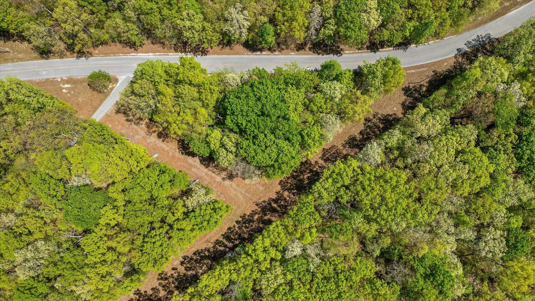 0 Deepwoods Road, Sewanee, TN 37375