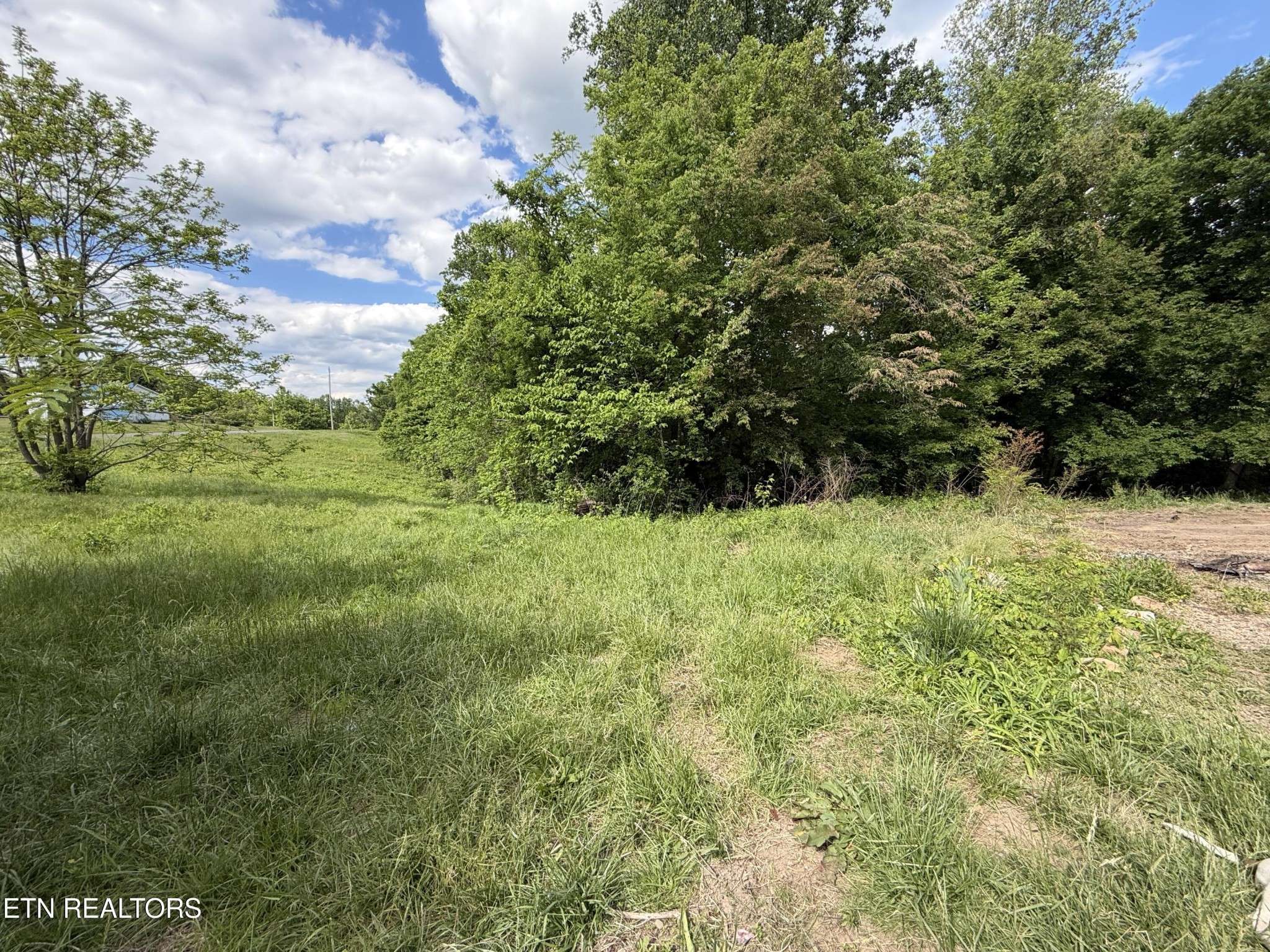 316 Wiley Town Rd, Newport, TN 37821