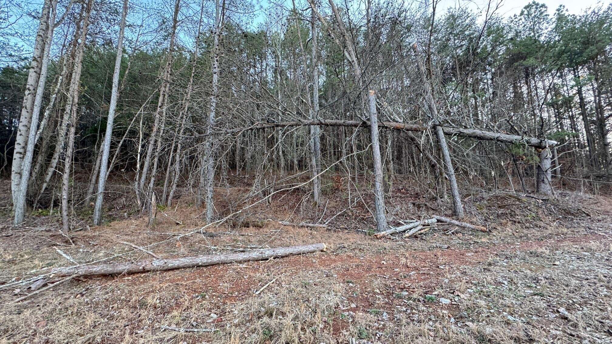2100 Cottonport Ridge Road, Decatur, TN 37322