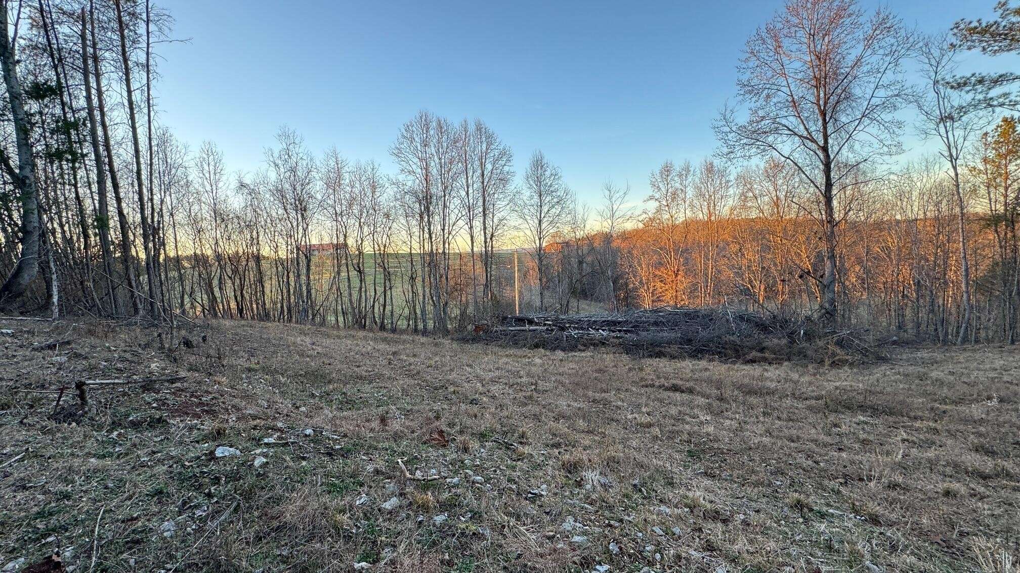 2100 Cottonport Ridge Road, Decatur, TN 37322