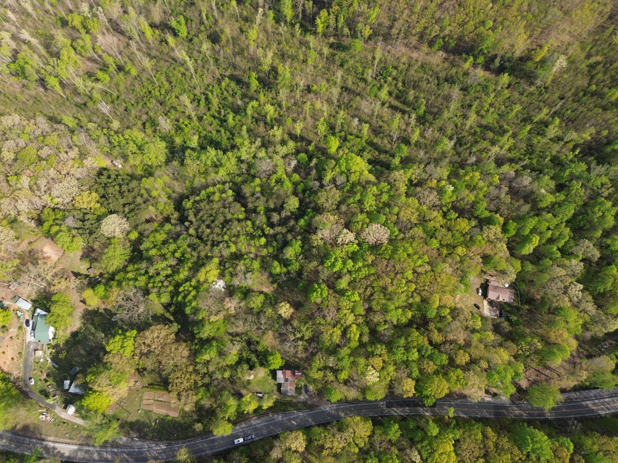 2990 Wassom Memorial Highway, Spring City, TN 37381