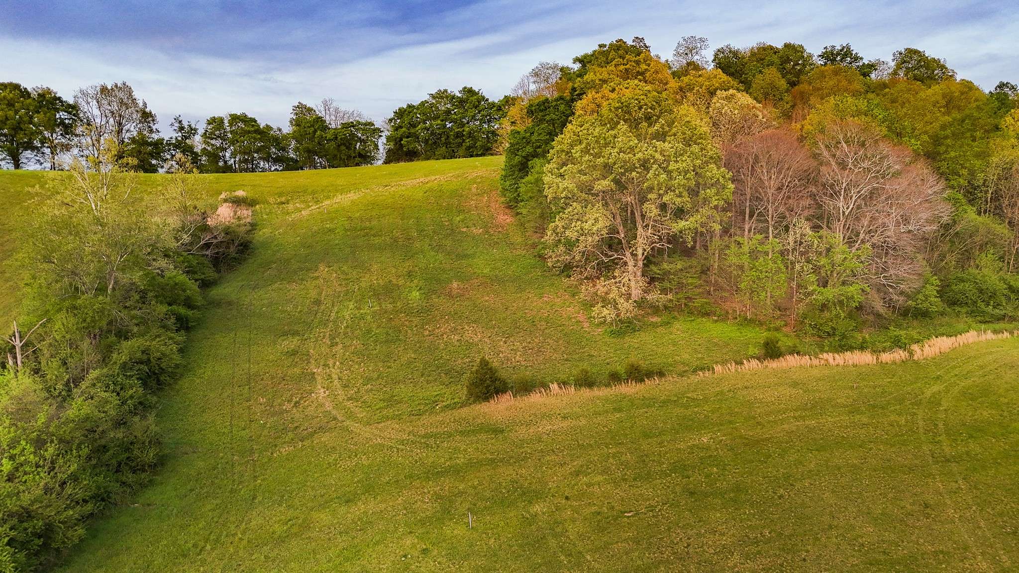 53 Pleasant Hill, Lynchburg, TN 37352
